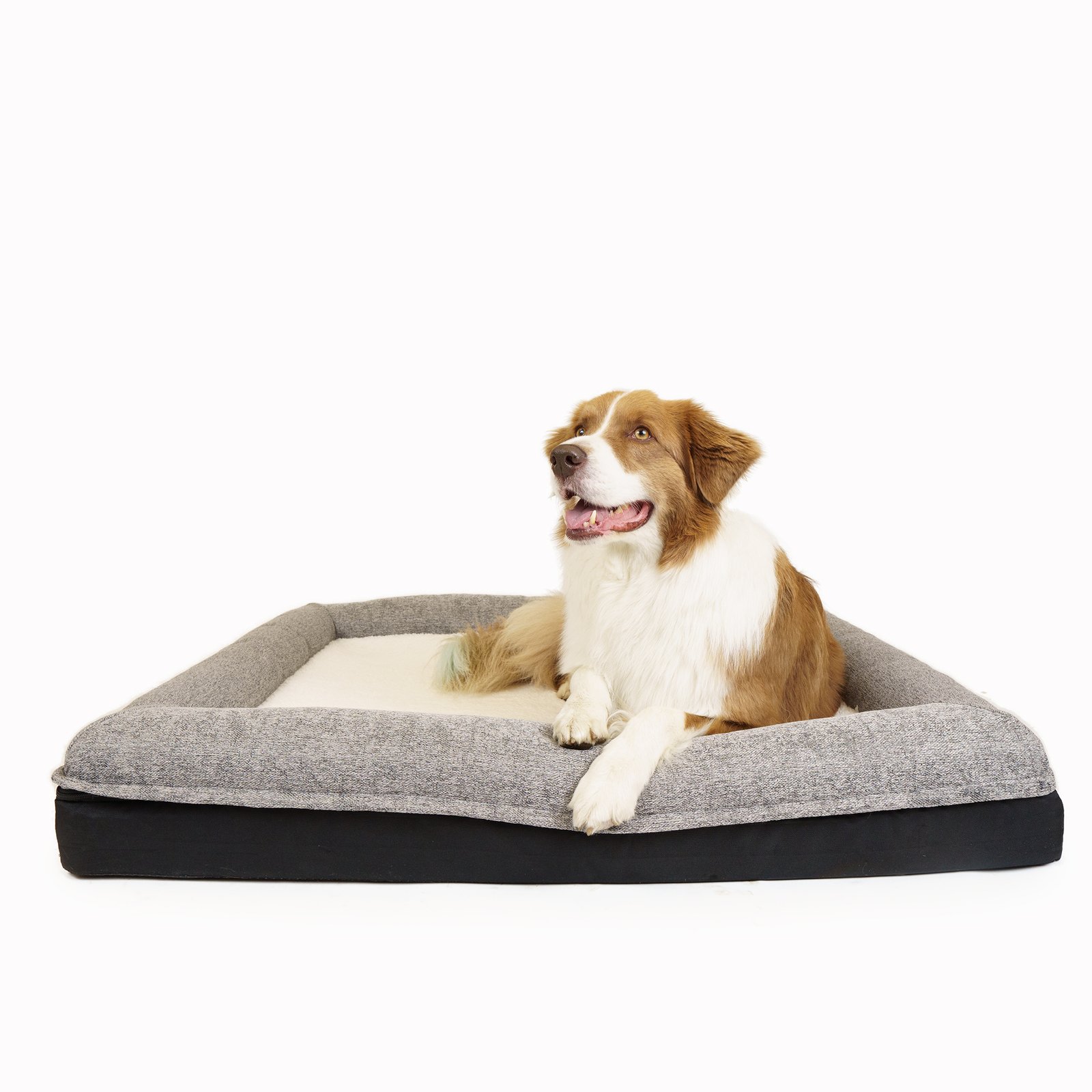 Arno Dog Bed in Box, Small/Medium Lounge Bed with Memory Foam - Image 3