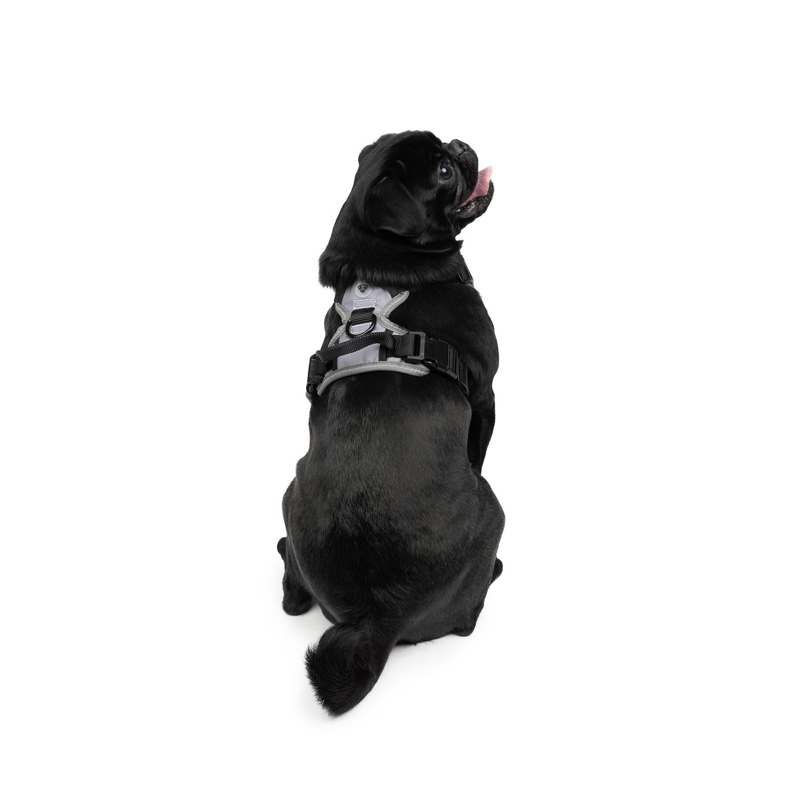 Black Dog Harness with Bonded Mesh and Reflective Stitching - Image 2