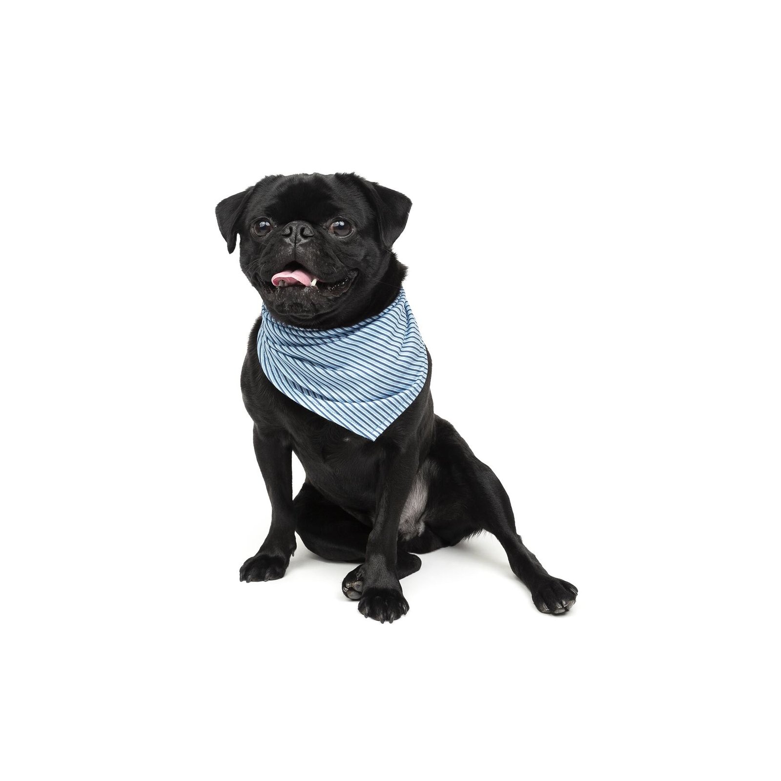 Dog Bandana, Soft Fabric, Multiple Colors - Image 3