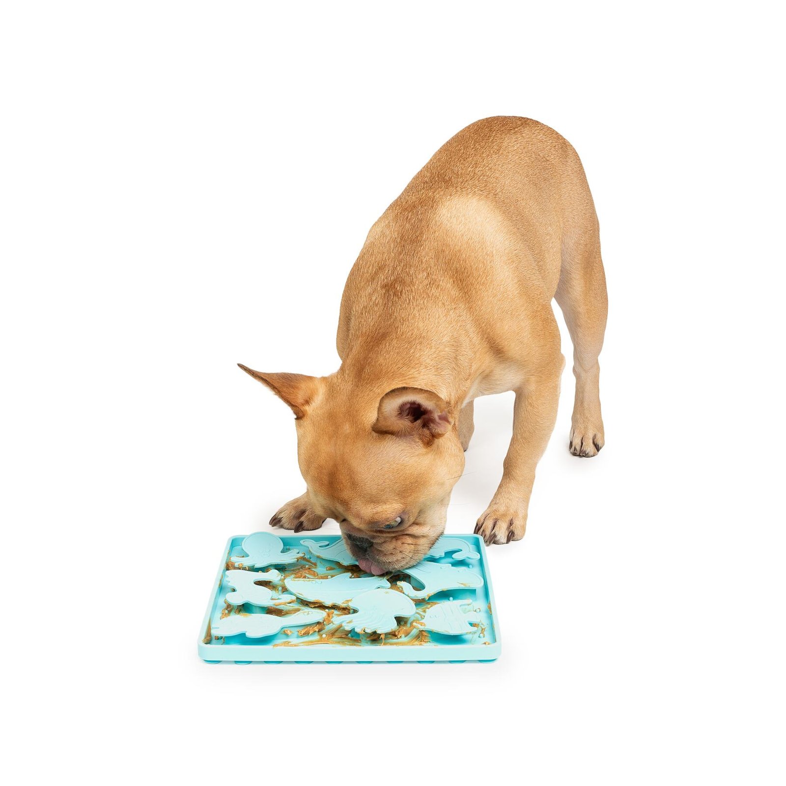 Sea Animals Licking Mat, Wet Treats, Perfect for Dogs - Image 3
