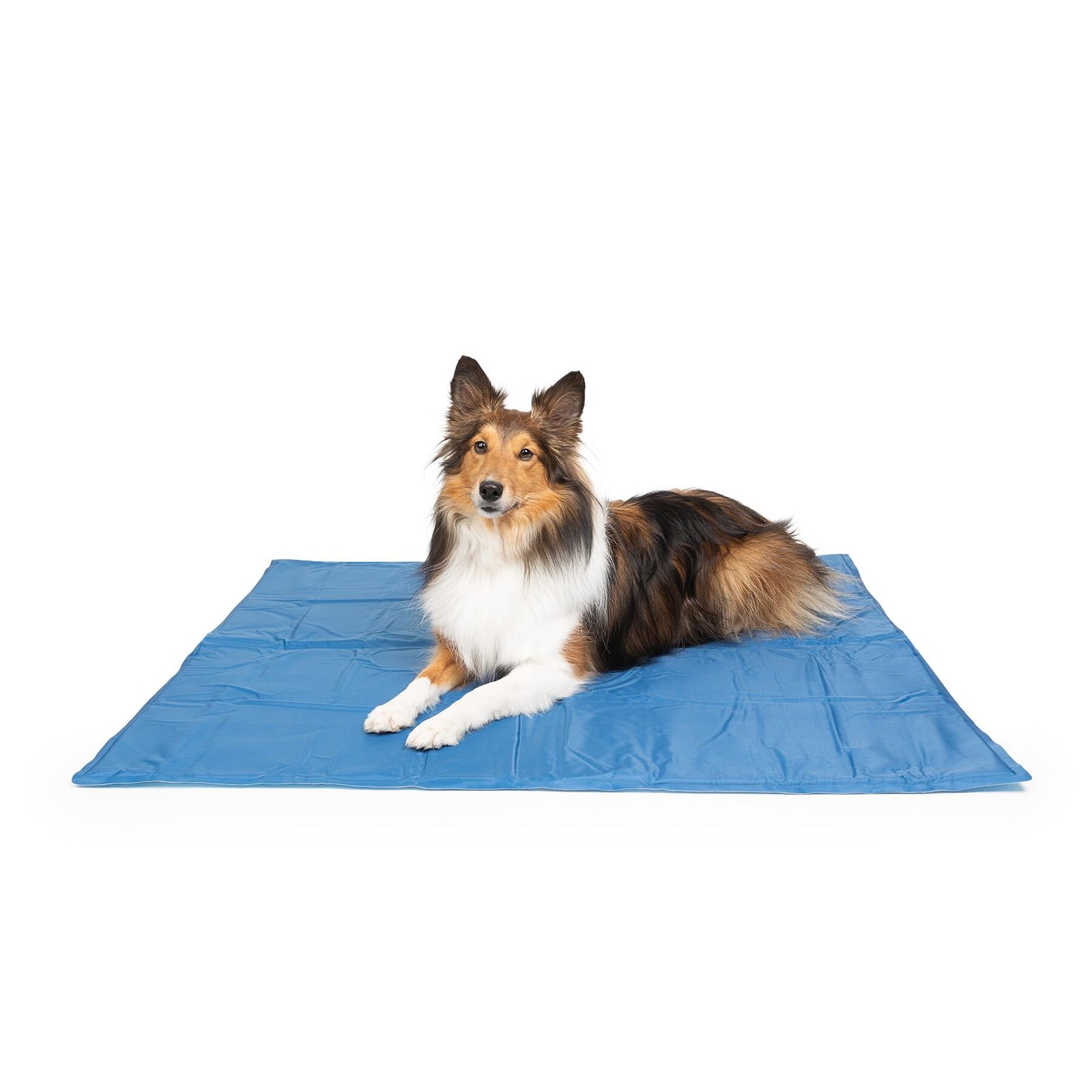Dog Cooling Mat, 2 Side Reversible, Multiple Sizes - Image 7