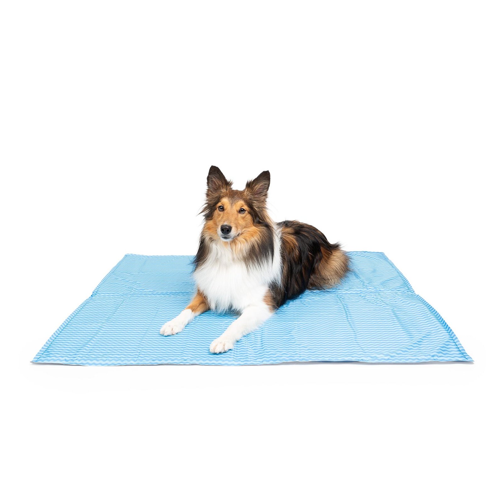 Dog Cooling Mat, 2 Side Reversible, Multiple Sizes - Image 8