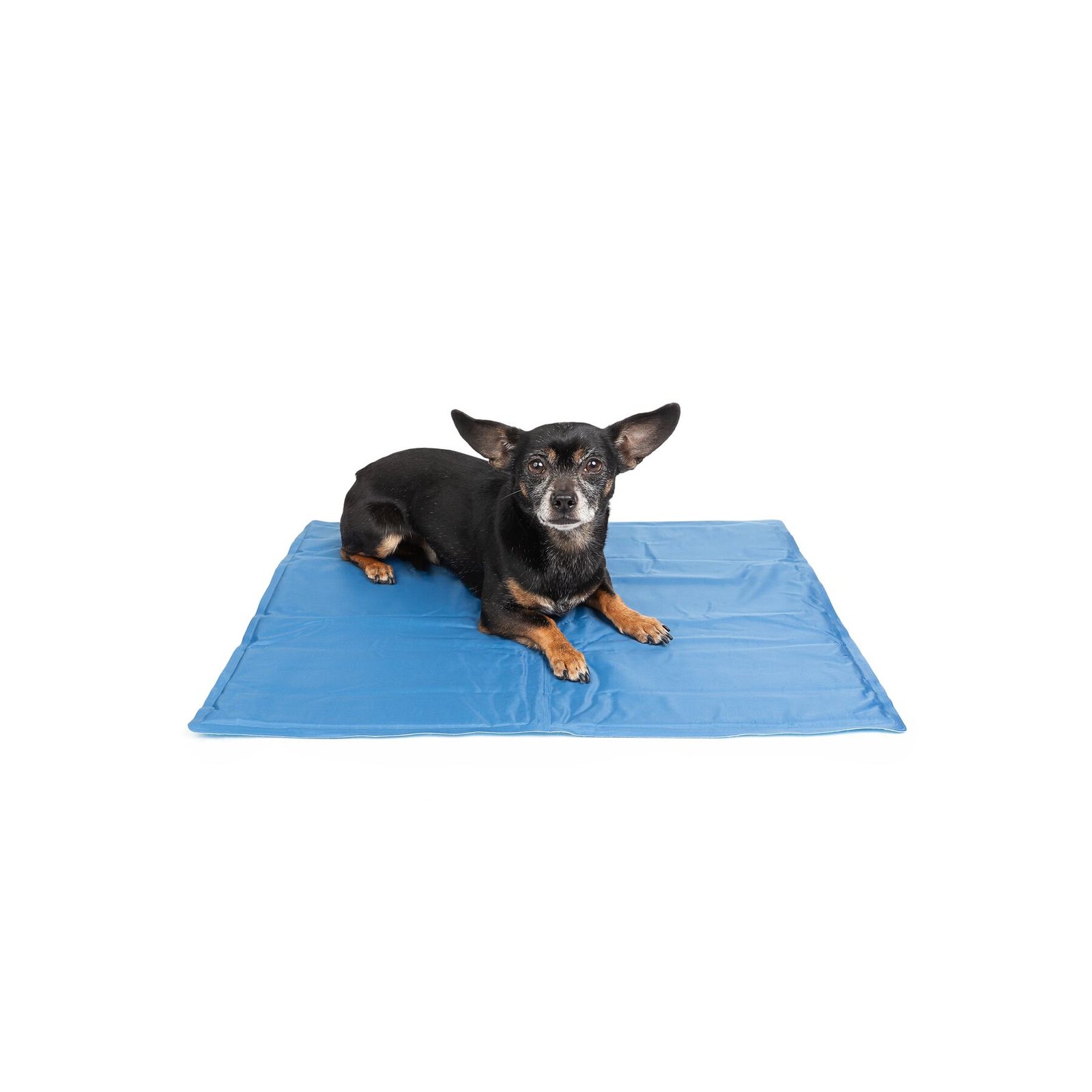 Dog Cooling Mat, 2 Side Reversible, Multiple Sizes - Image 5