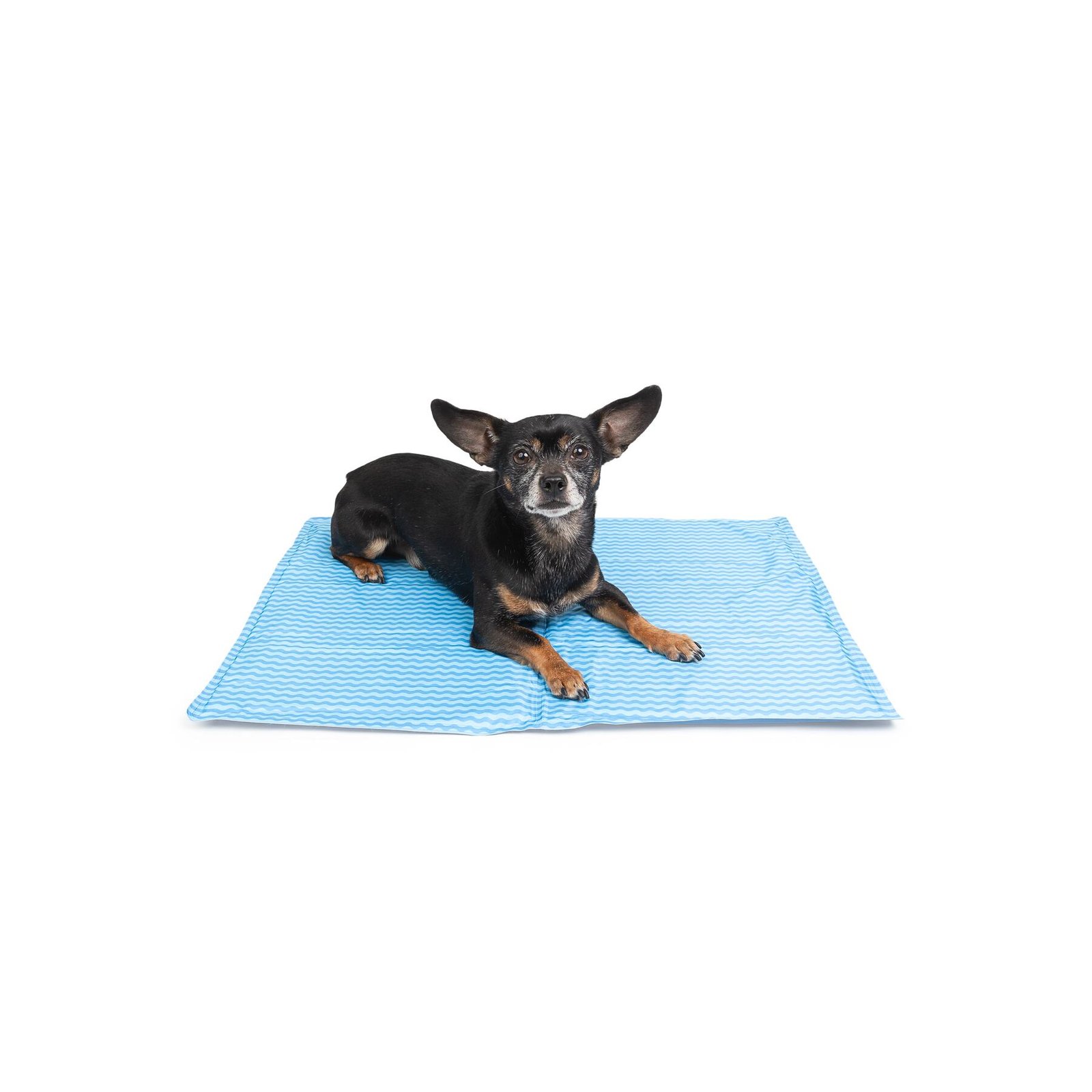 Dog Cooling Mat, 2 Side Reversible, Multiple Sizes - Image 4