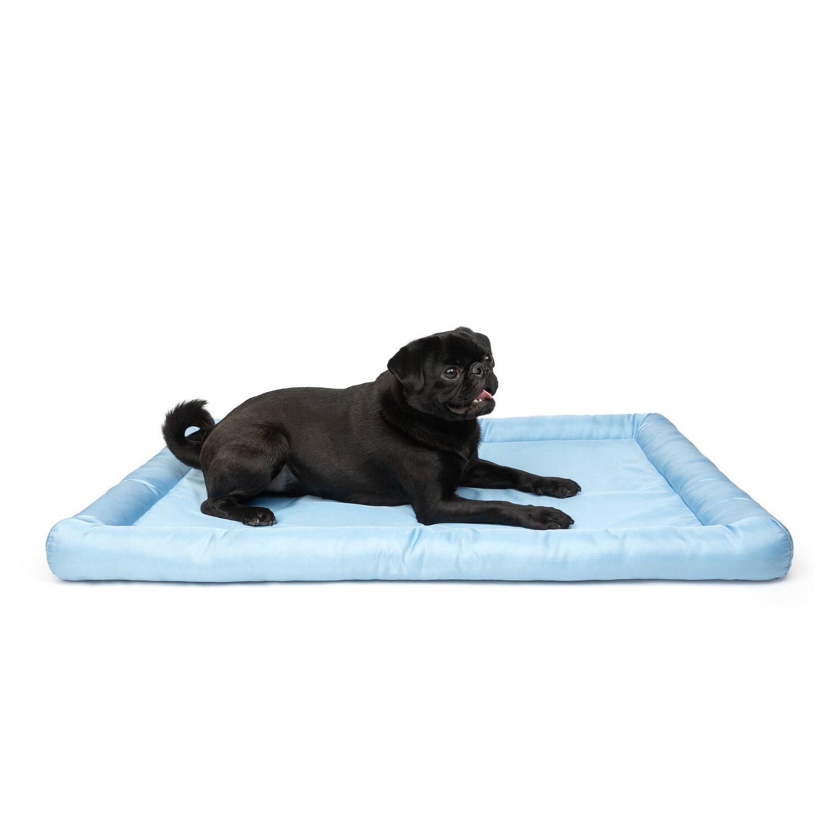 Cooling Dog Mat with Cushion, Water Resistant, Multiple Colors - Image 9