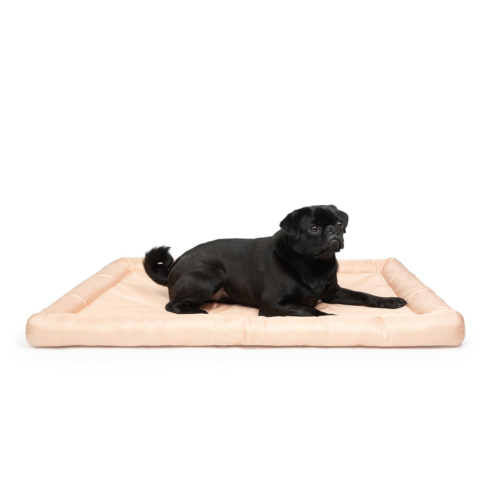 Cooling Dog Mat with Cushion, Water Resistant, Multiple Colors - Image 8