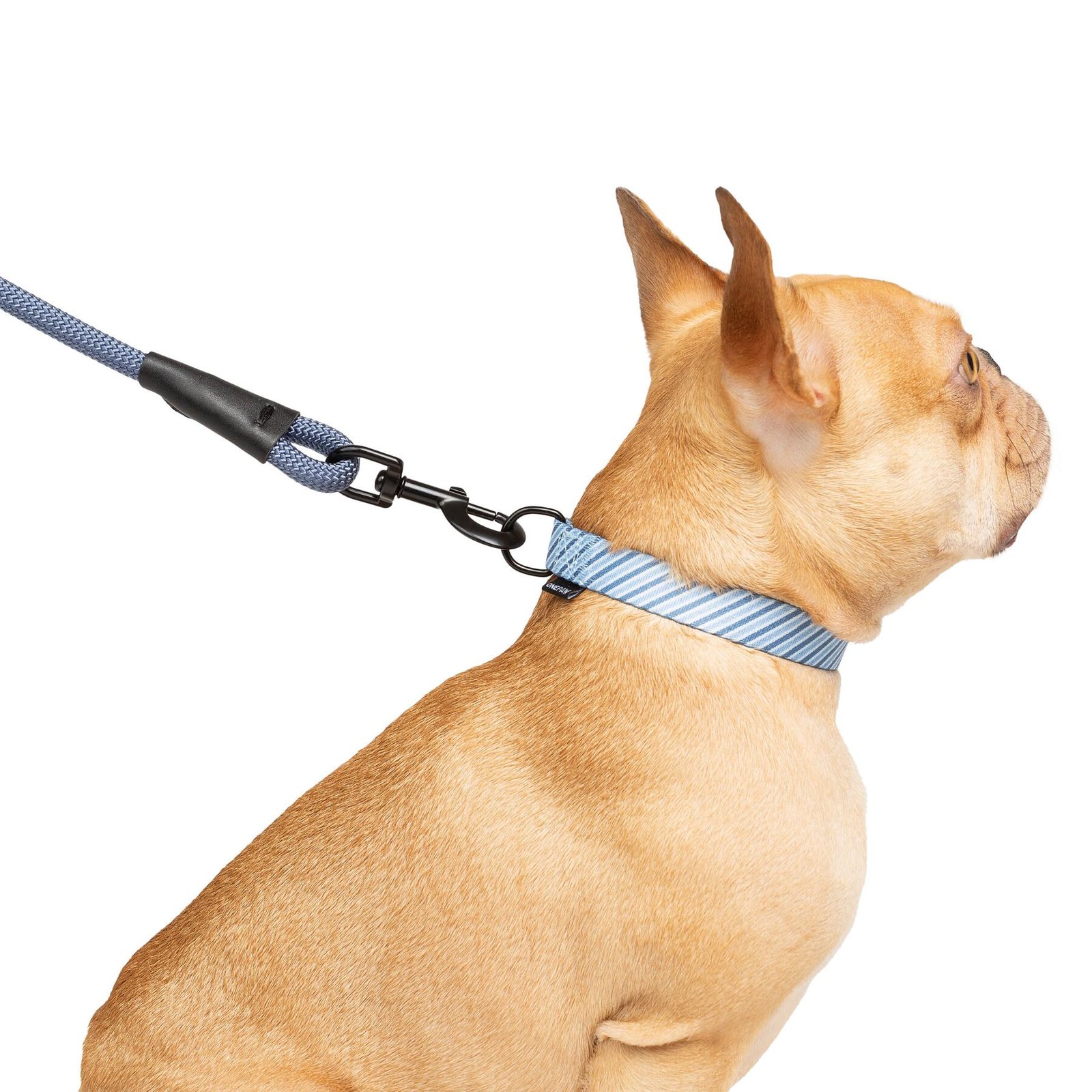 Dog 3-Pack Collar Leash Set, With bag Dispenser, Multiple Colors - Image 4