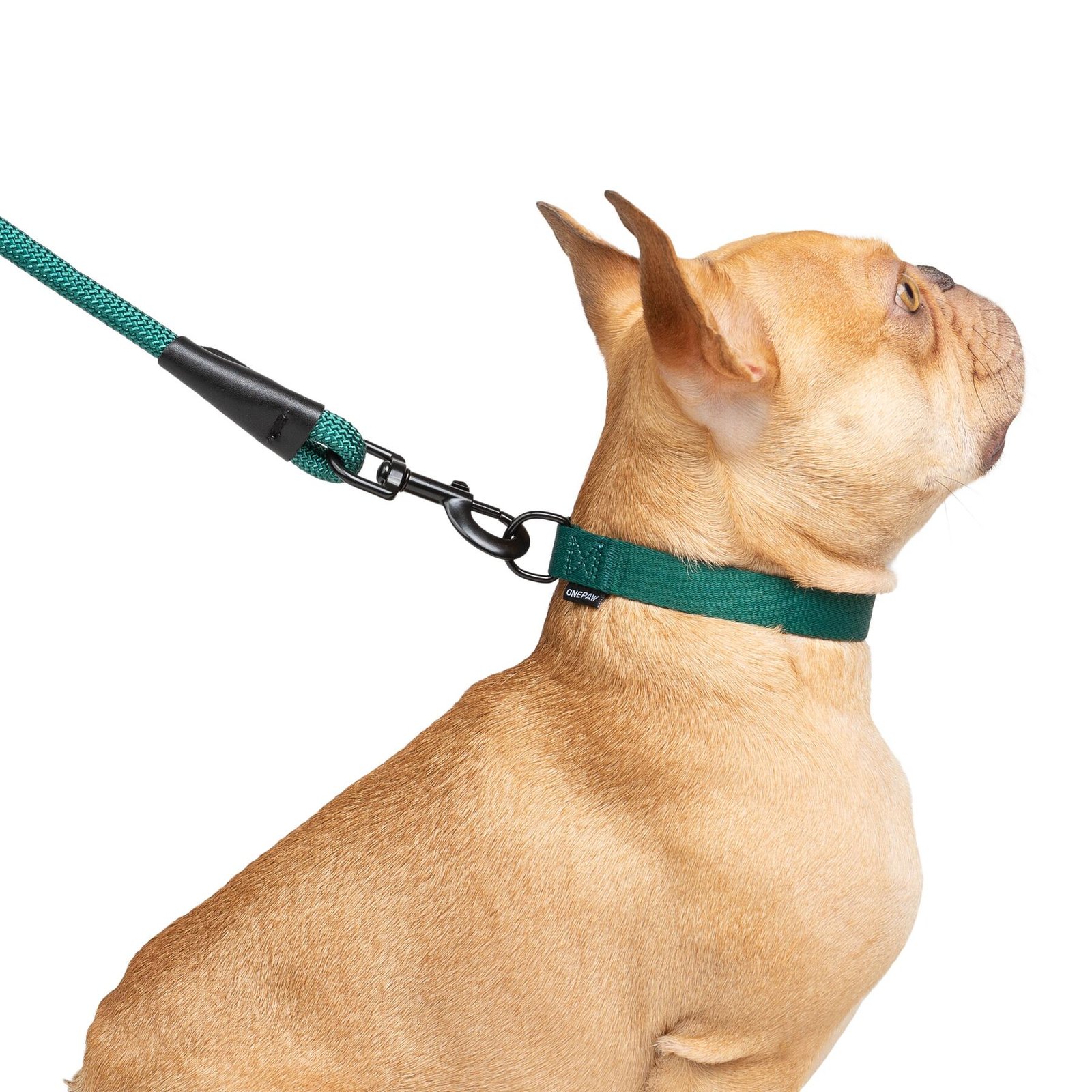 Dog 3-Pack Collar Leash Set, With bag Dispenser, Multiple Colors - Image 9