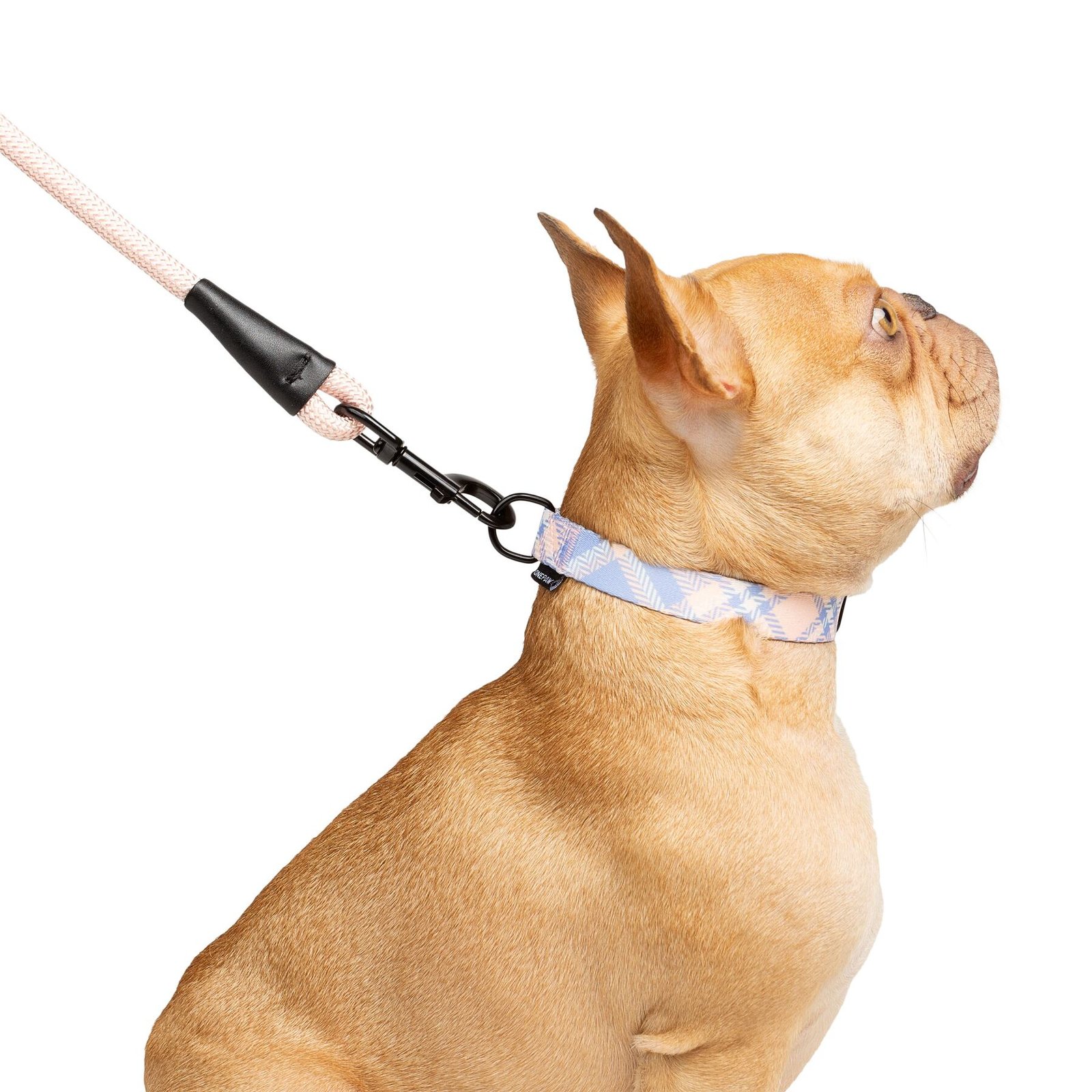 Dog 3-Pack Collar Leash Set, With bag Dispenser, Multiple Colors - Image 14