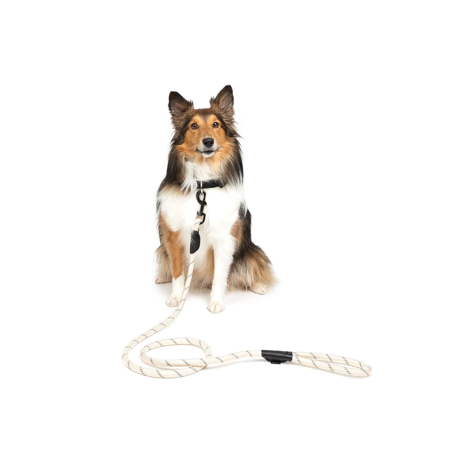 Hiker Reflective Rope Dog Leash, Multiple Colors - Image 10