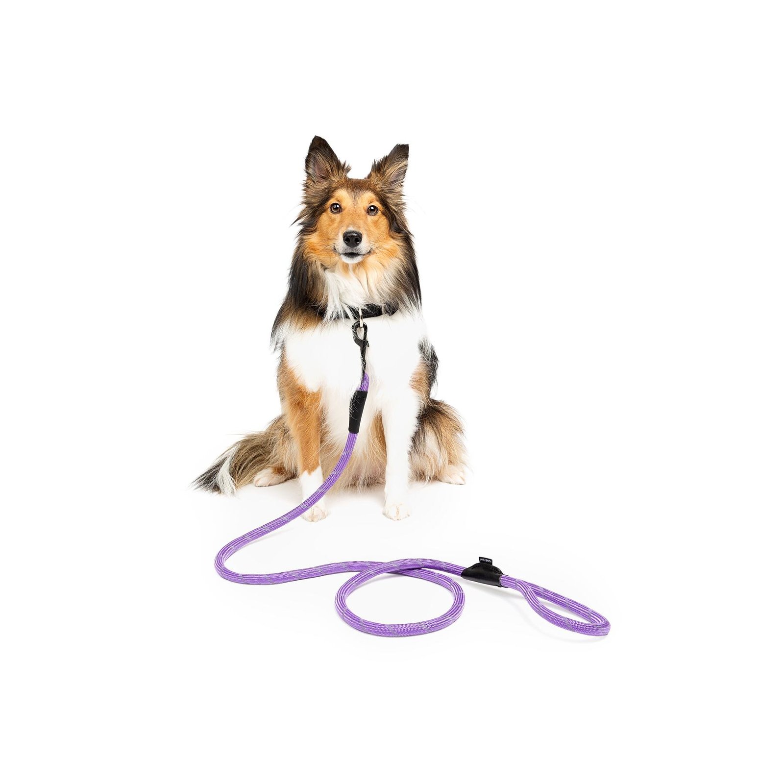 Hiker Reflective Rope Dog Leash, Multiple Colors - Image 6