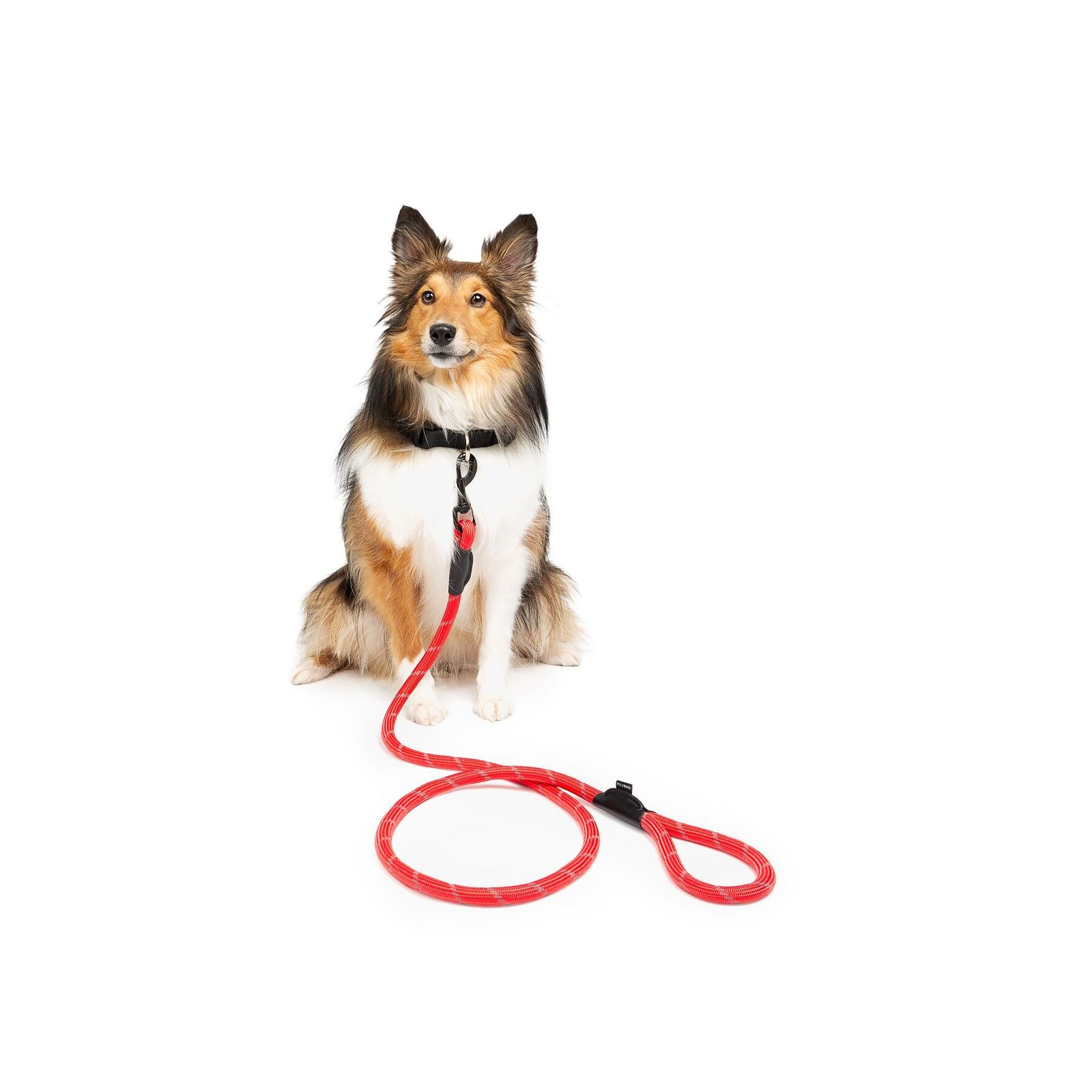 Hiker Reflective Rope Dog Leash, Multiple Colors - Image 8