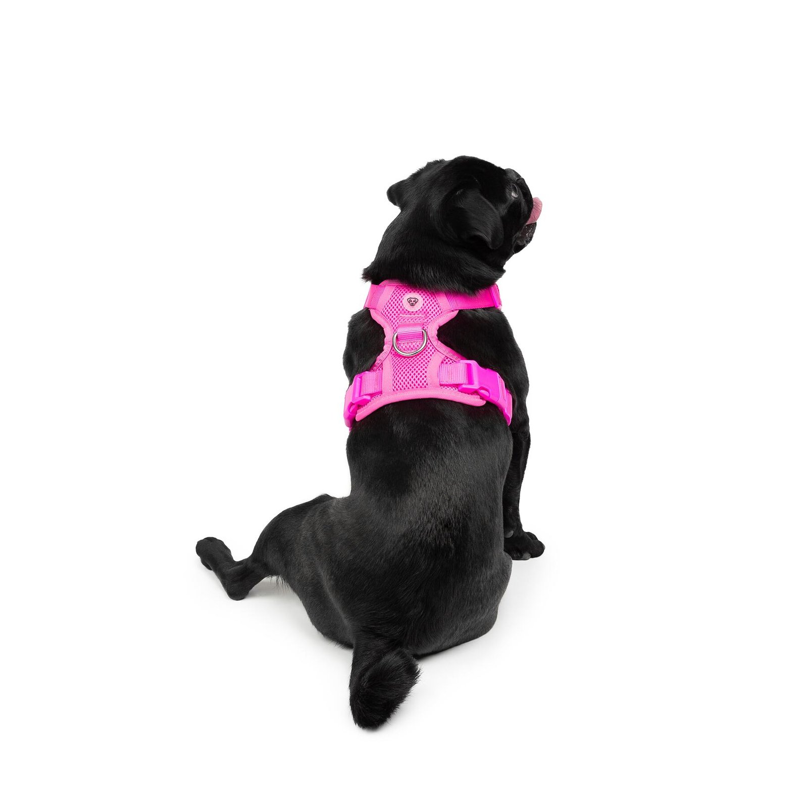 Fashion Mesh Dog Harness, Pink, Easy Fit and Safe - Image 4