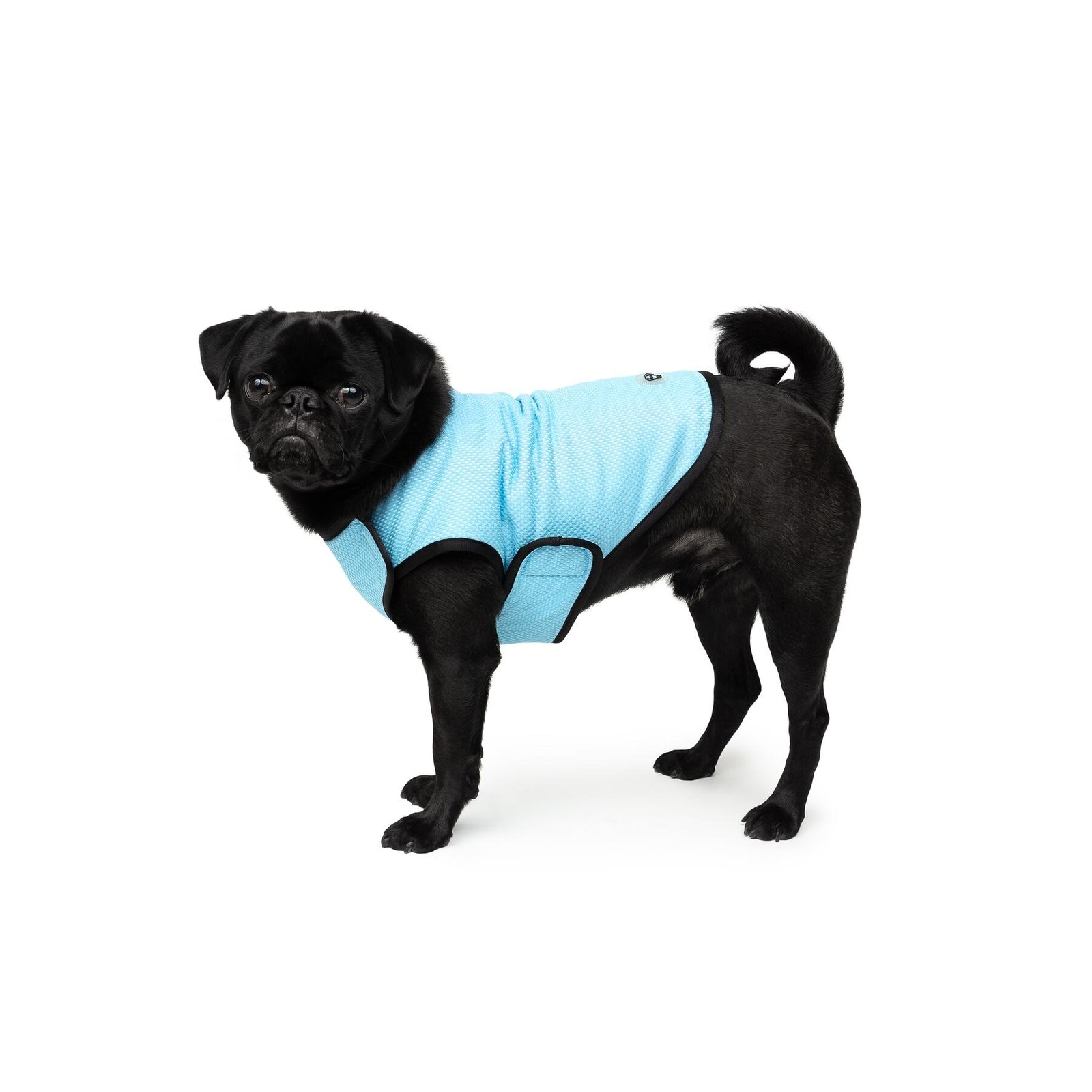 Dog Cooling Vest, Perfect For Hot Days, Multiple Sizes - Image 4