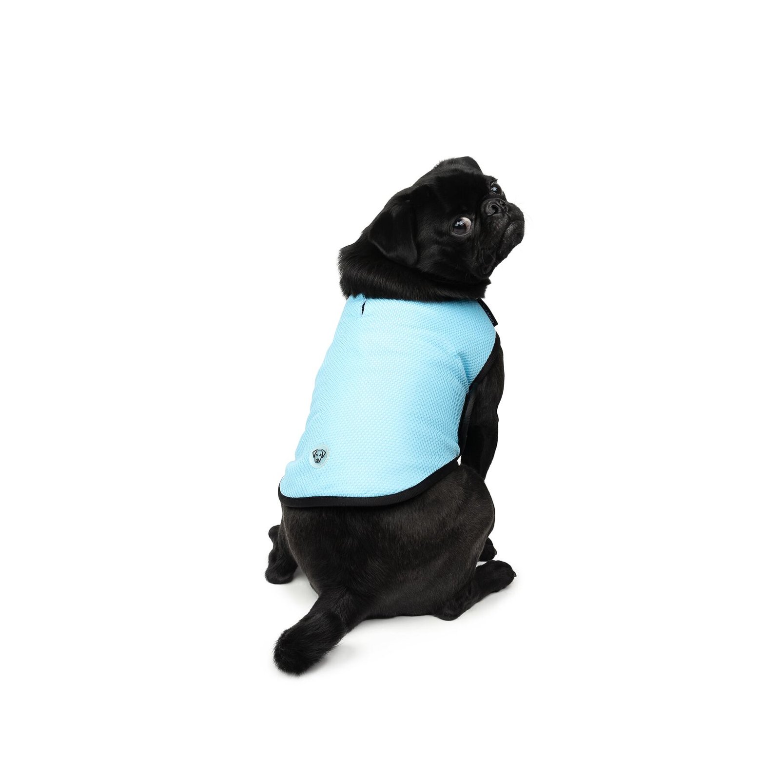 Dog Cooling Vest, Perfect For Hot Days, Multiple Sizes - Image 3