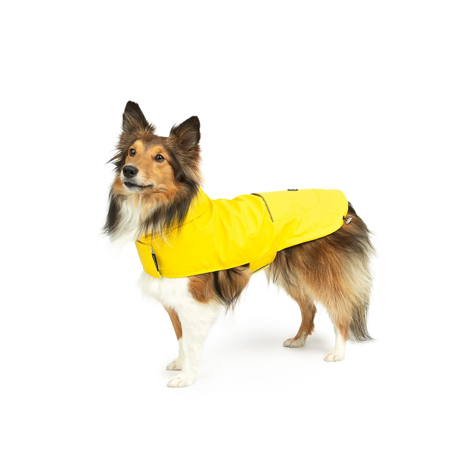 Dog Rain Jacket, Reflective, Water Resistant, Multiple Size and Colors - Image 7