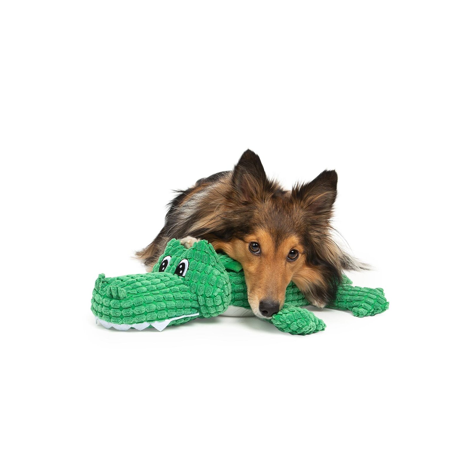 Big Alligator Dog Toy, With Squeaker and Crinkle Paper Sound - Image 2