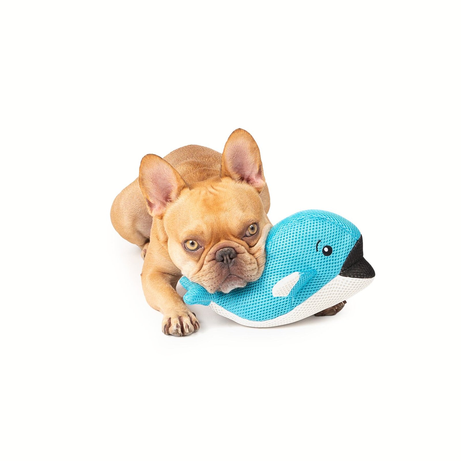 Whale Cooling Dog Toy, Floats In Water, Durable - Image 3