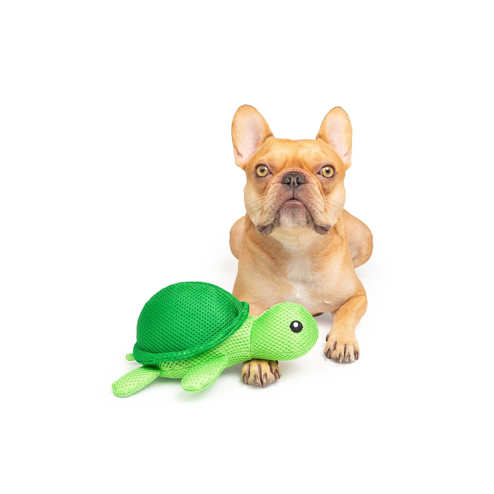 Turtle Cooling Dog Toy, Floats In Water, Durable - Image 3