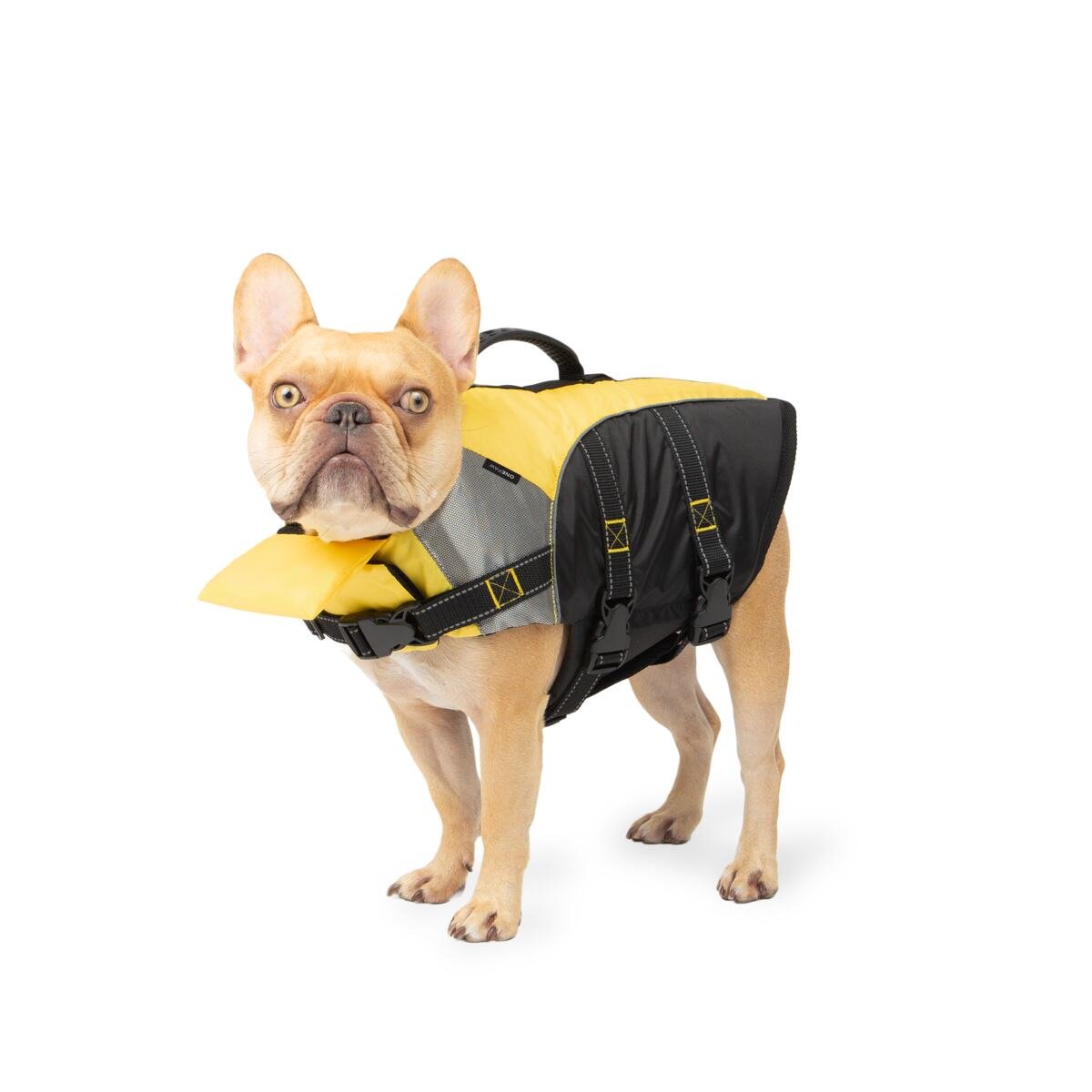 Safety Lifevest for Dogs - Image 3