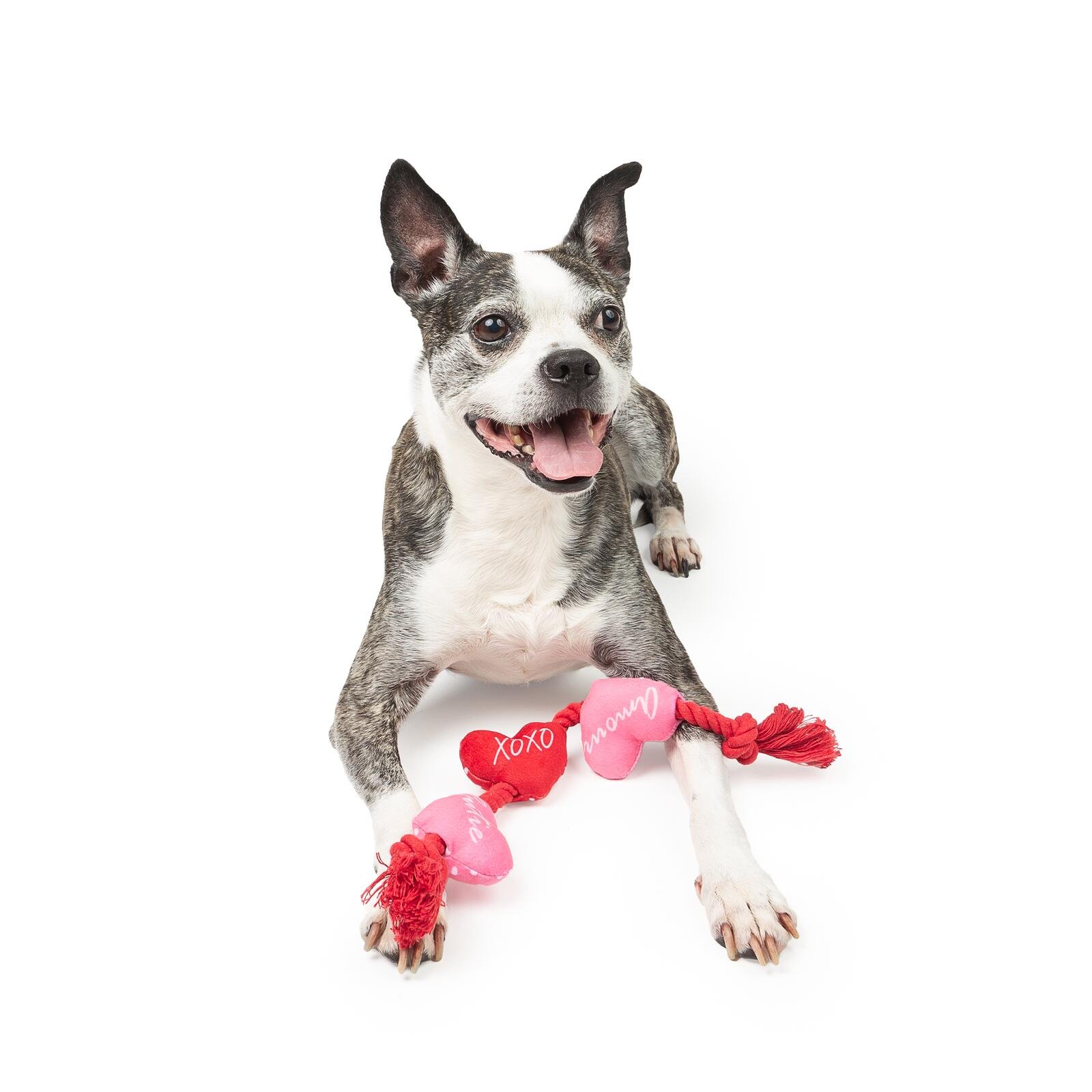 One Paw, Valentine Rope Dog Toy with Hearts, Red and Pink, Tug of War Toy - Image 4