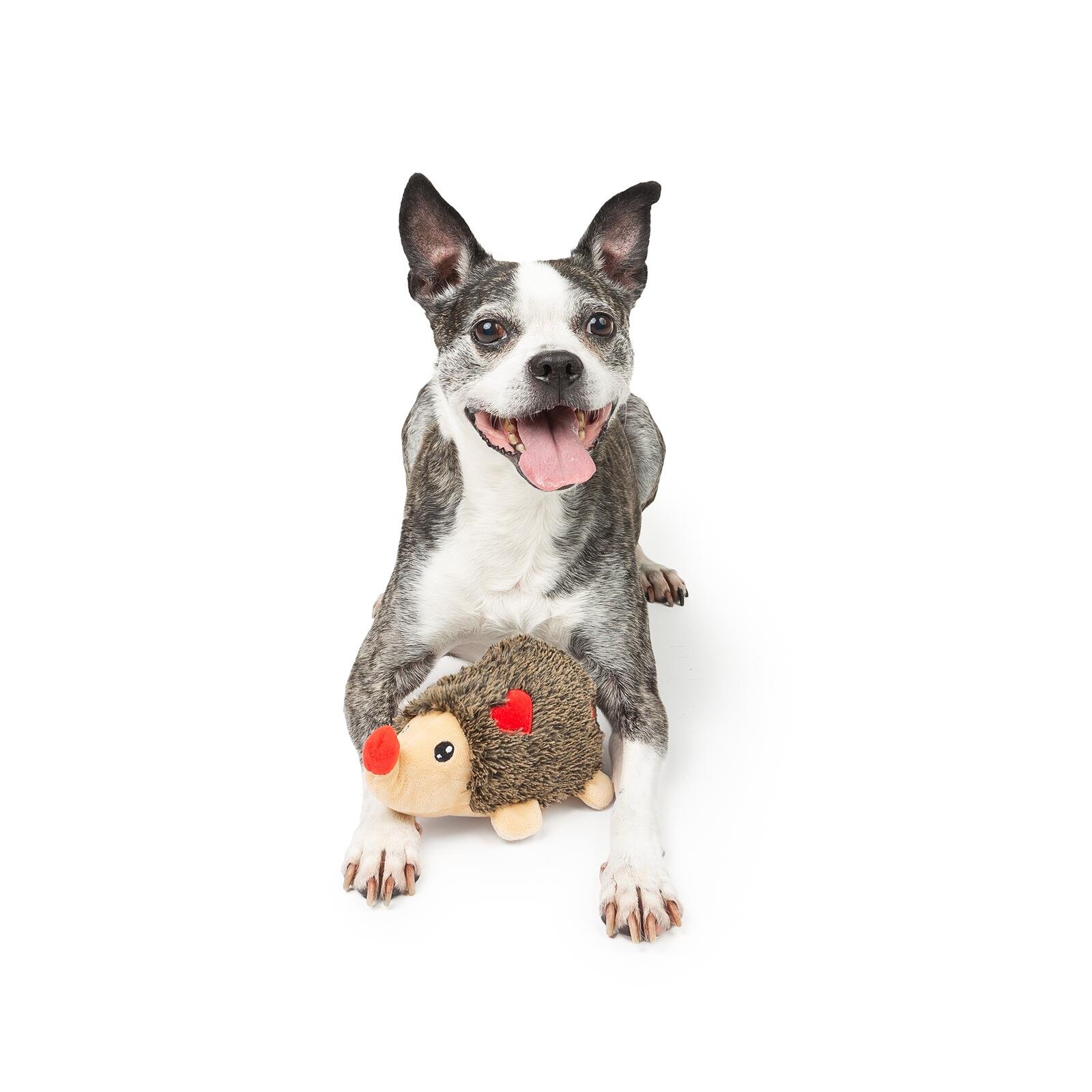 One Paw, Hedgehog Valentine Dog Toy with Hearts, Plush Toy - Image 2