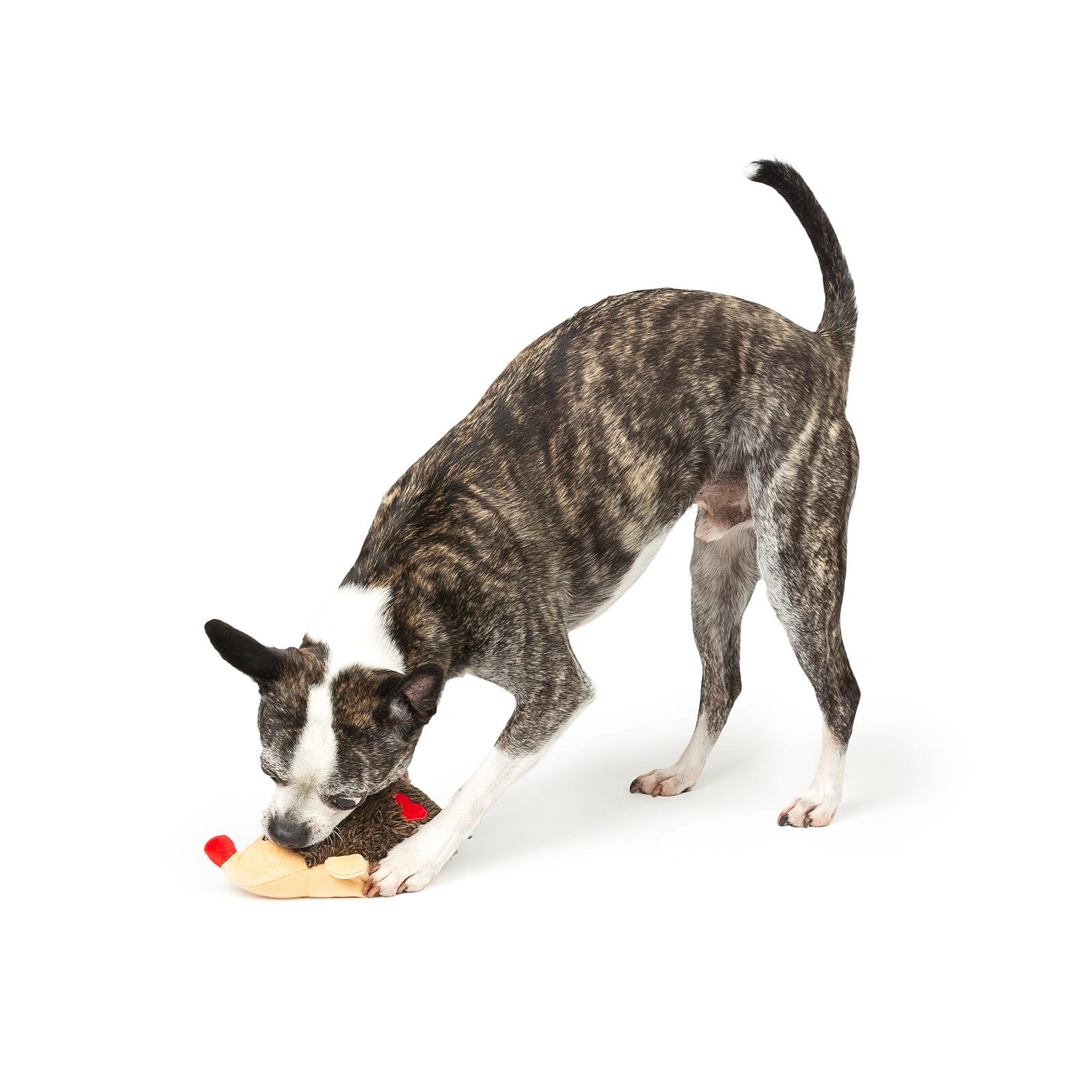 One Paw, Hedgehog Valentine Dog Toy with Hearts, Plush Toy - Image 3