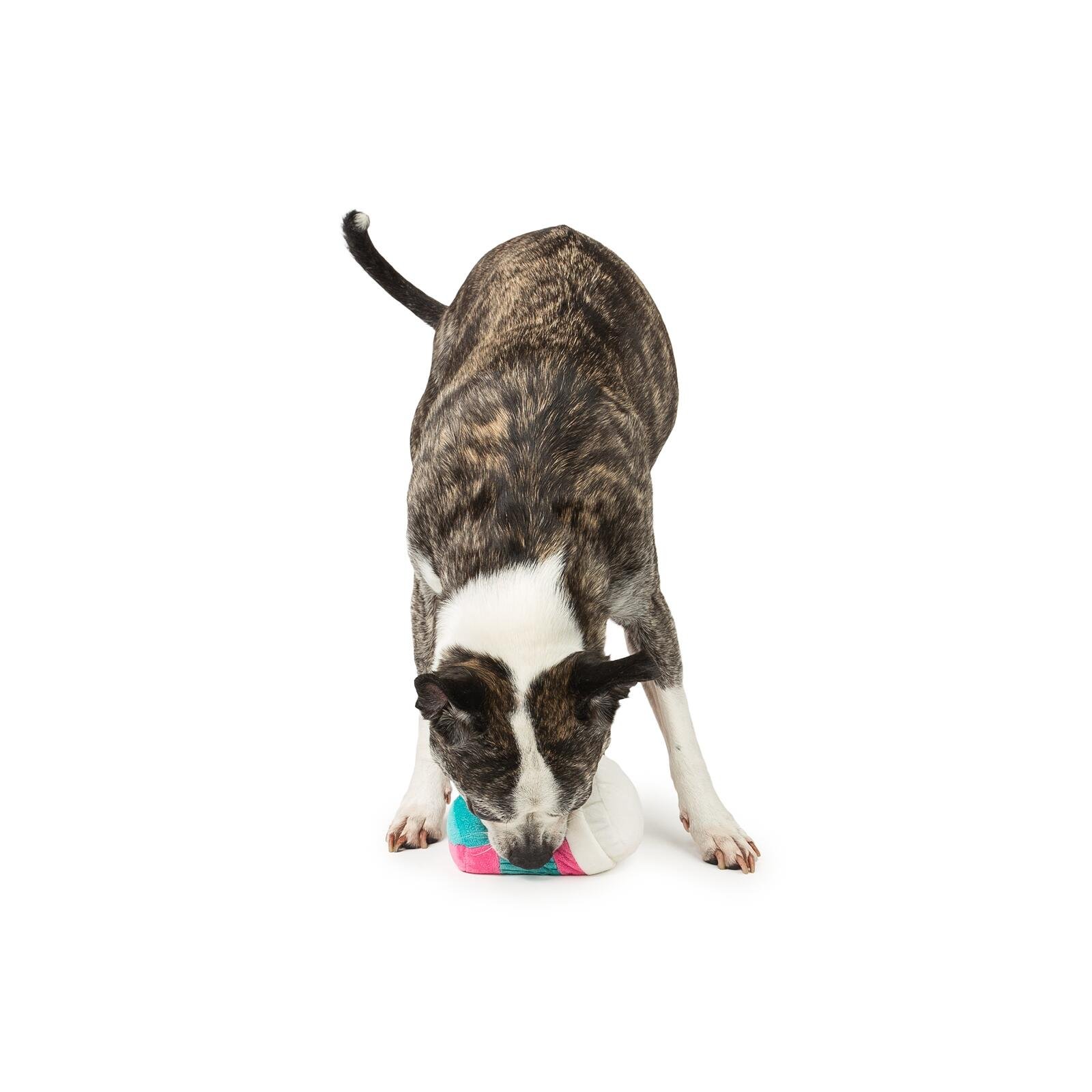 One Paw, Valentine Coffee Cup Plush Dog Toy, Pink, Plush Toy - Image 3