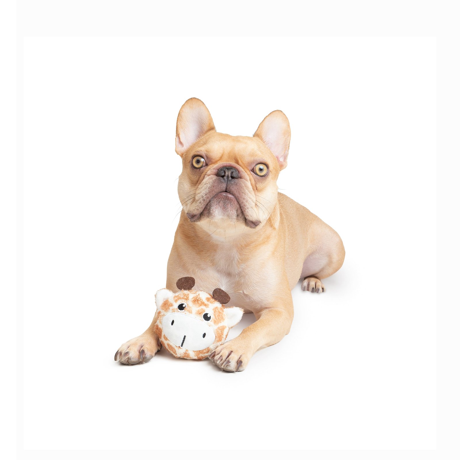 One Paw, Giraffe Ball Dog Toy - Image 3