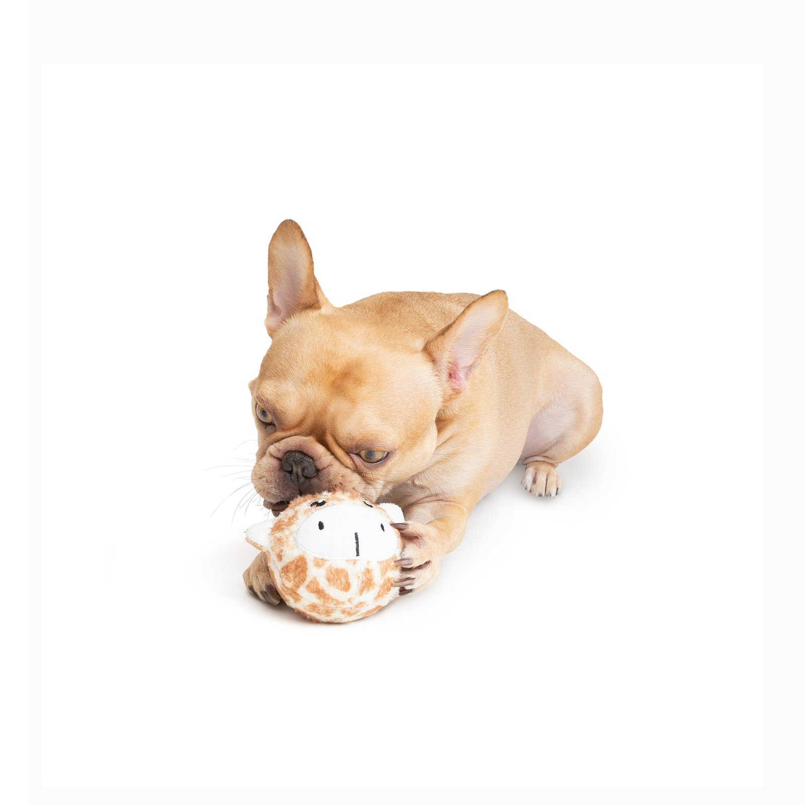 One Paw, Giraffe Ball Dog Toy - Image 2
