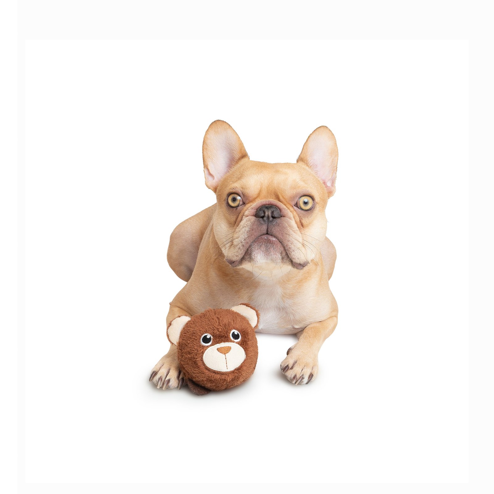 One Paw, Bear Ball Dog Toy - Image 2