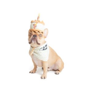 One Paw, Birthday Plush Hat & Reversible Bandana For Dogs
