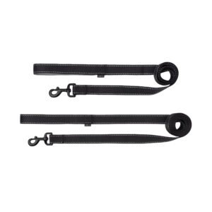 One Paw, Webbing Leash for Dogs, Multiple Colors and Sizes