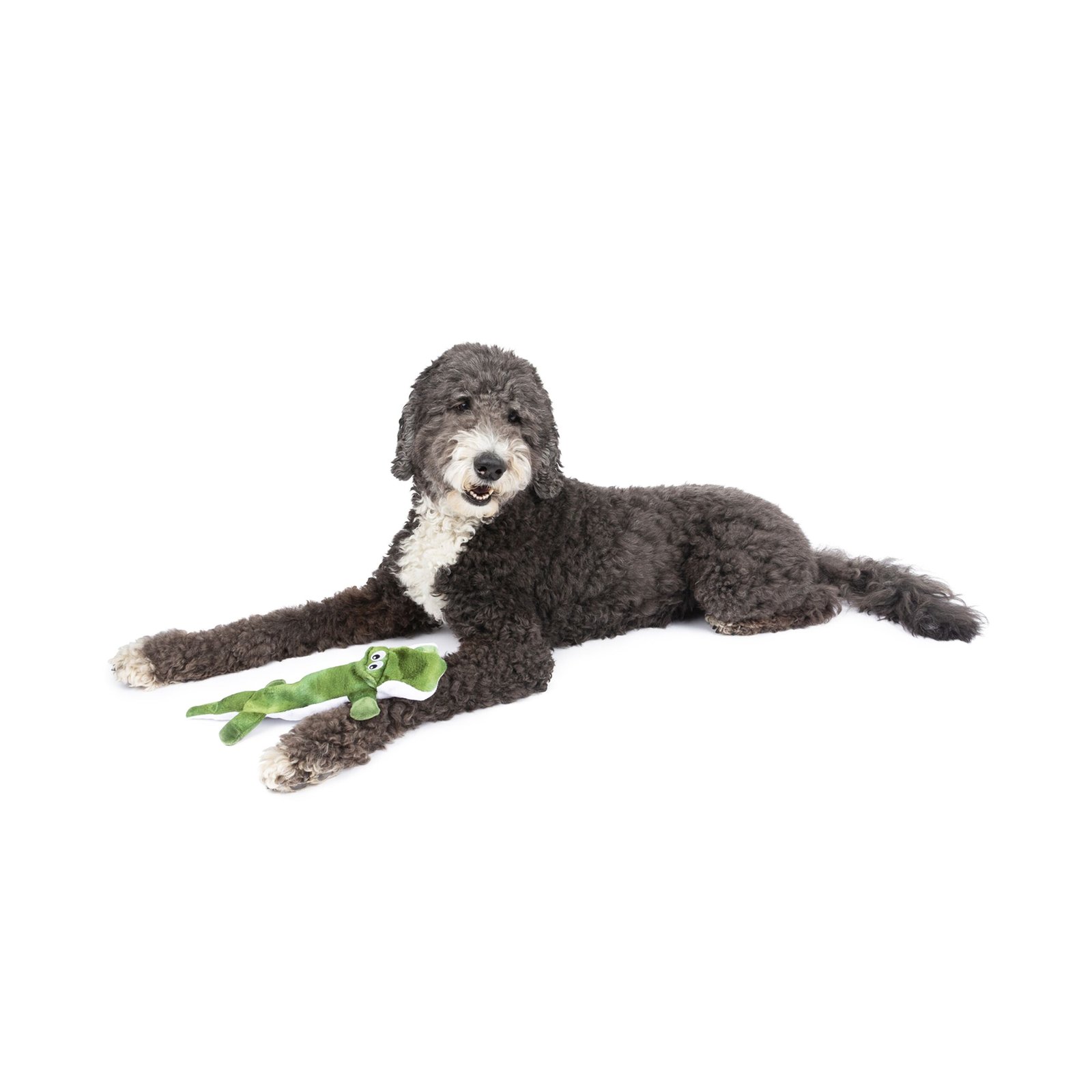 One Paw, Alligator Plush & Rope Dog Toy - Image 3