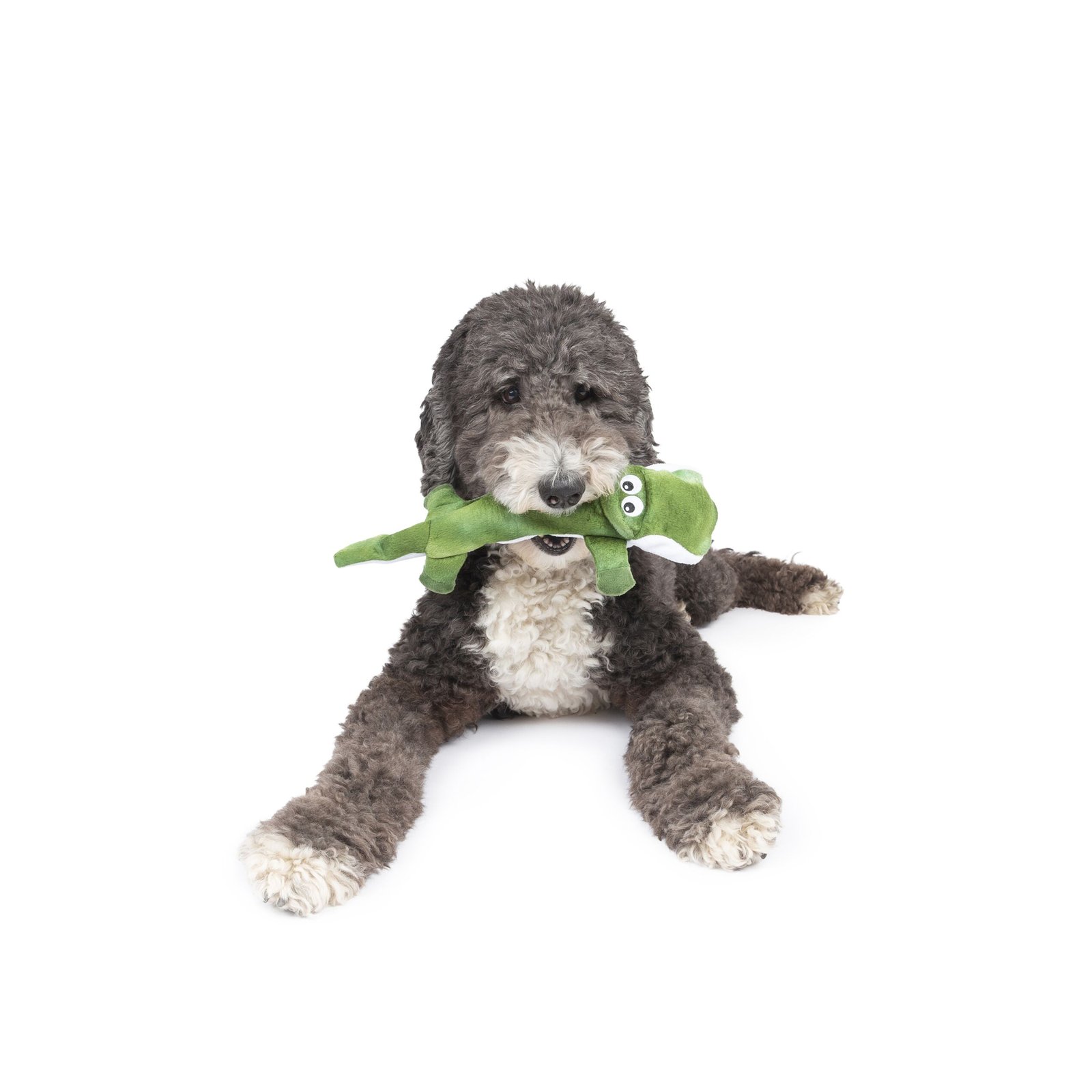 One Paw, Alligator Plush & Rope Dog Toy - Image 2