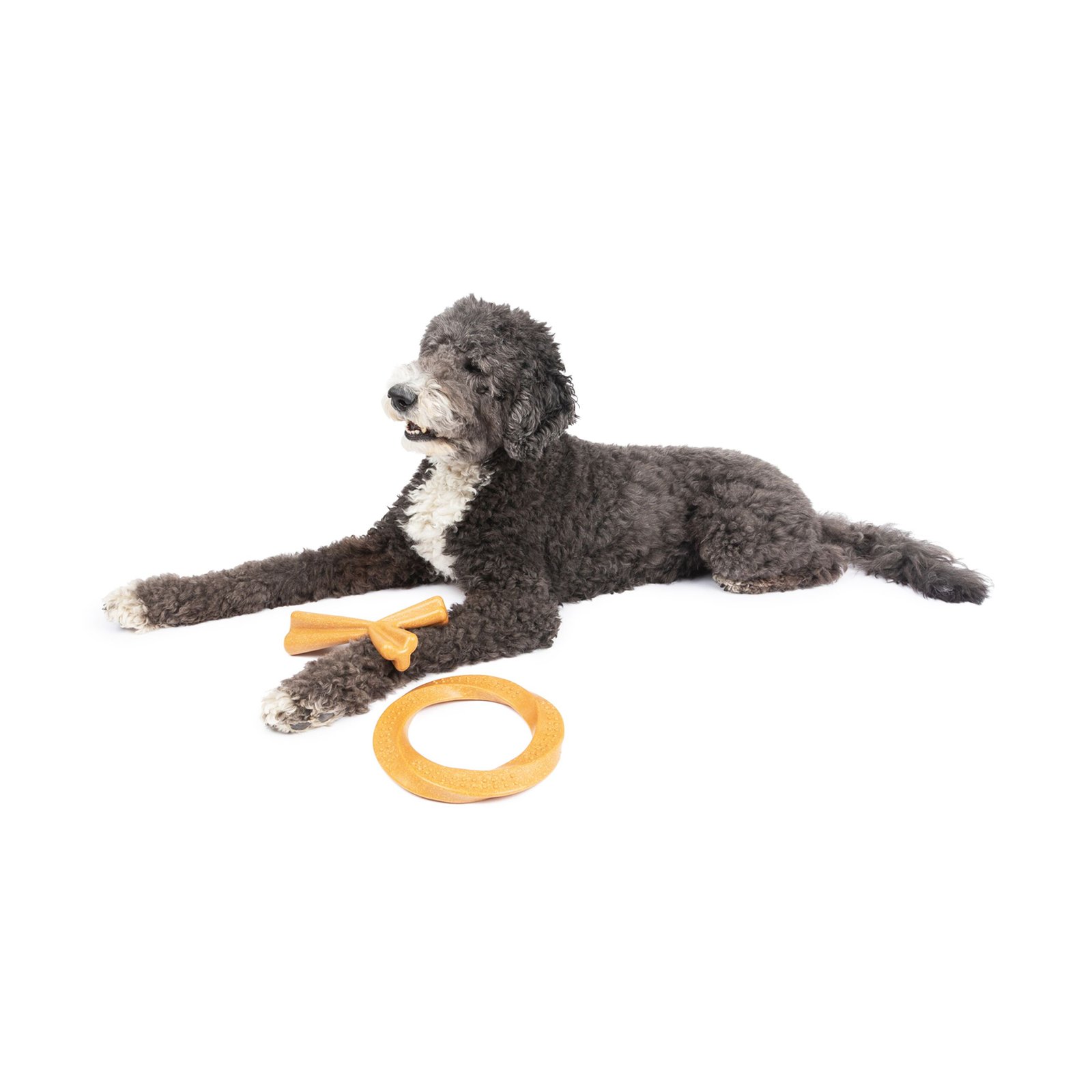 One Paw, 2 Pack Bamboo Fiber Chew Dog Toys, Extra Large - Image 4