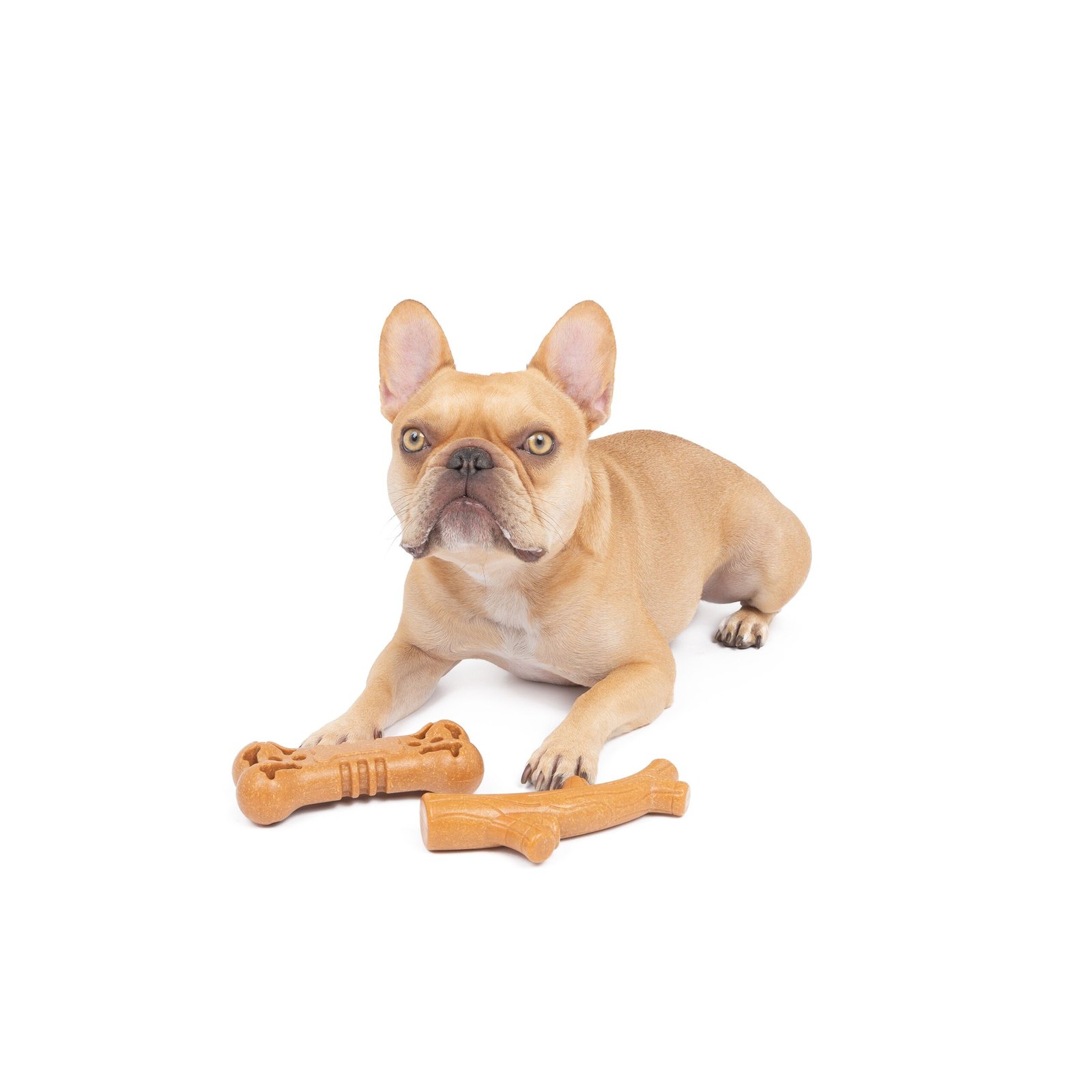 One Paw, 2 Pack Bamboo Fiber Chew Dog Toys, Medium - Image 3
