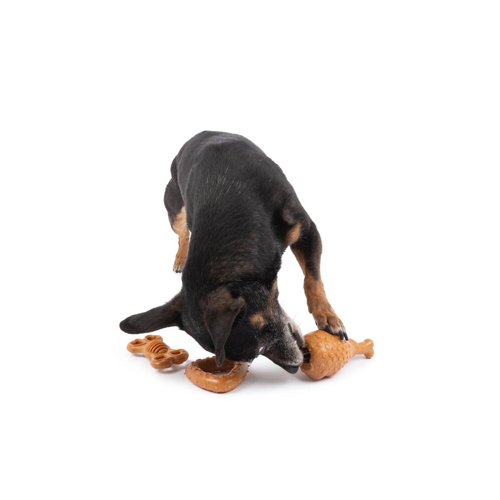 One Paw, 3 Pack Bamboo Fiber Chew Dog Toys, Small - Image 4