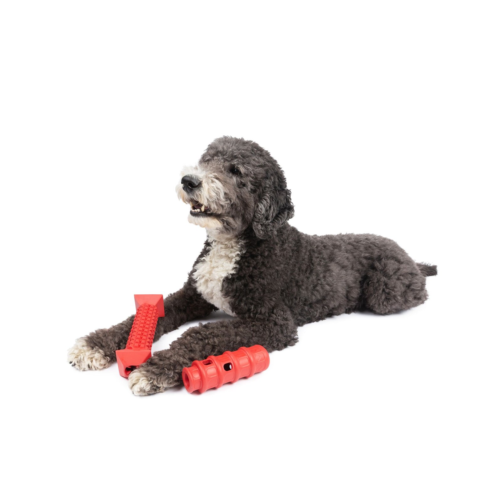 One Paw, 2 Pack Rubber Chew Dog Toy, Extra Large, Treat Dispenser - Image 3