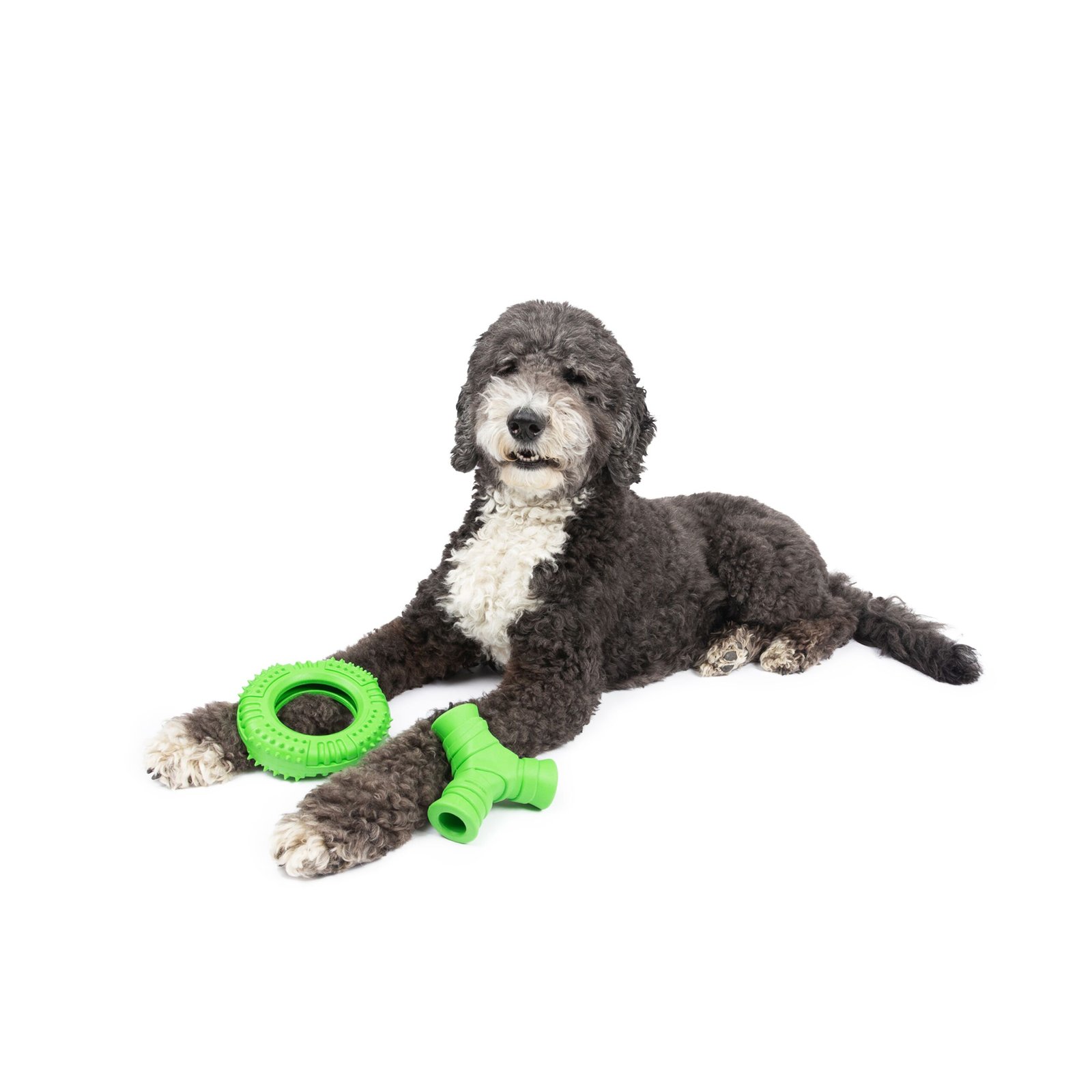 One Paw, 2 Pack Rubber Chew Dog Toy, Large, Treat Dispenser - Image 3