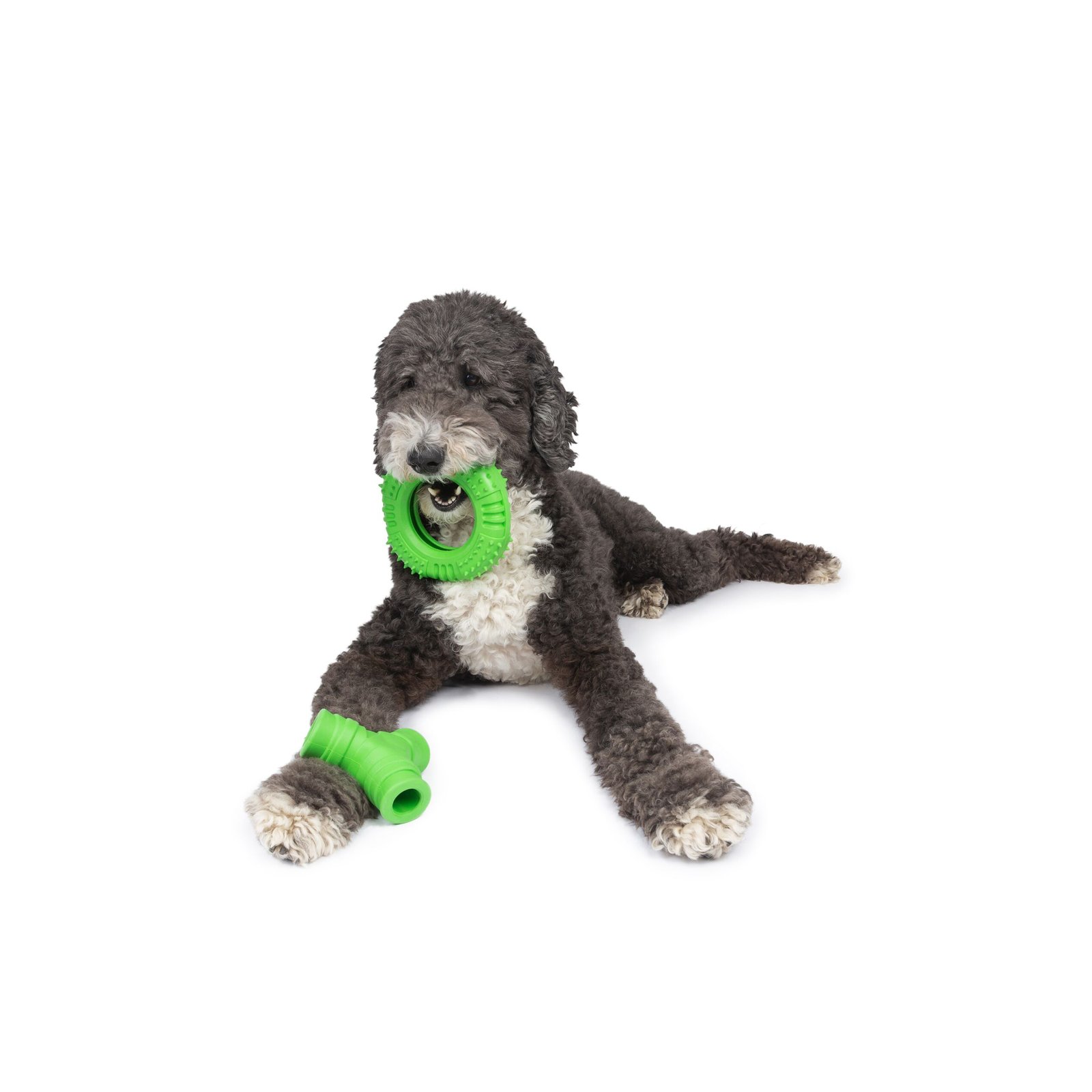 One Paw, 2 Pack Rubber Chew Dog Toy, Large, Treat Dispenser - Image 4