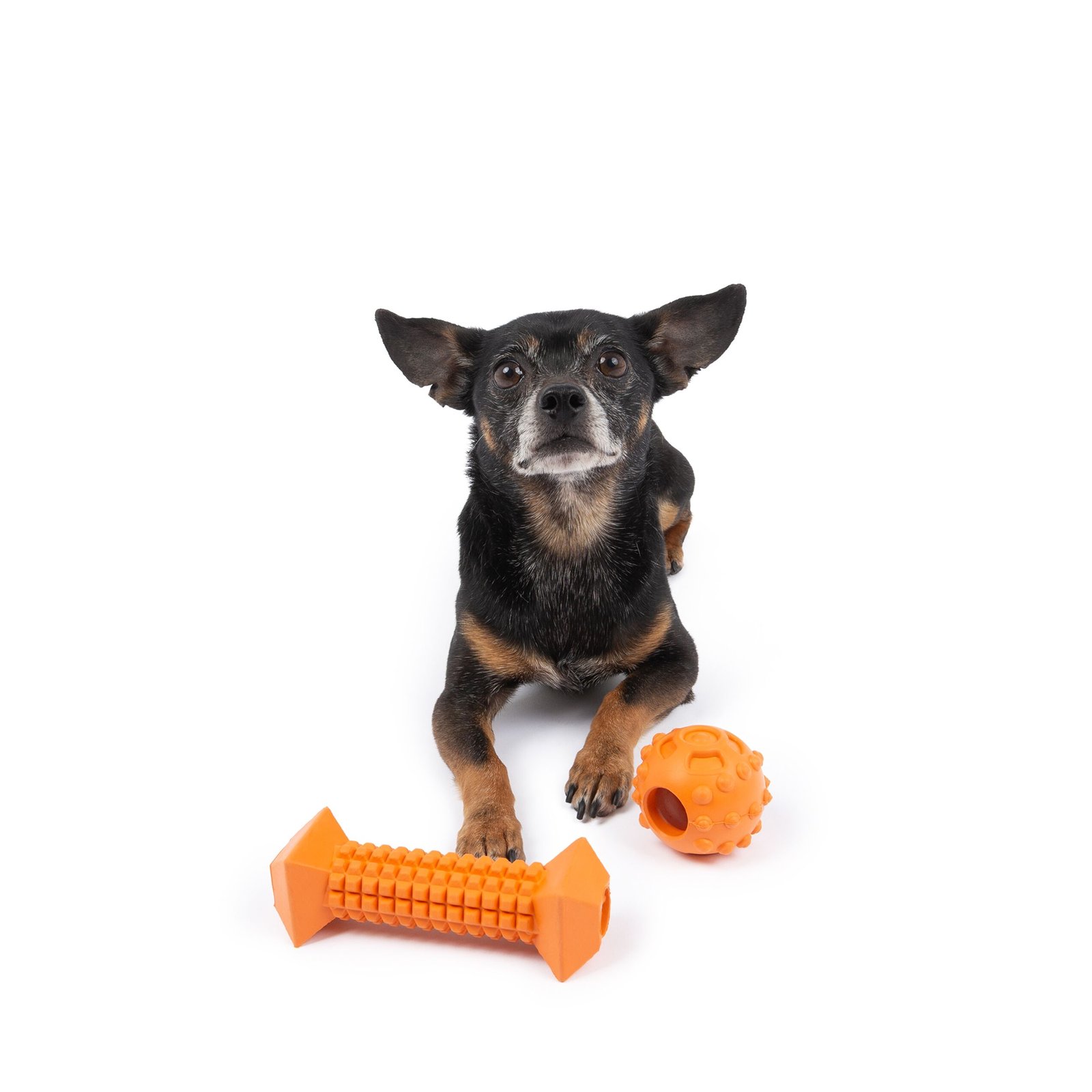 One Paw, 2 Pack Rubber Chew Dog Toy, Small, Treat Dispenser - Image 4
