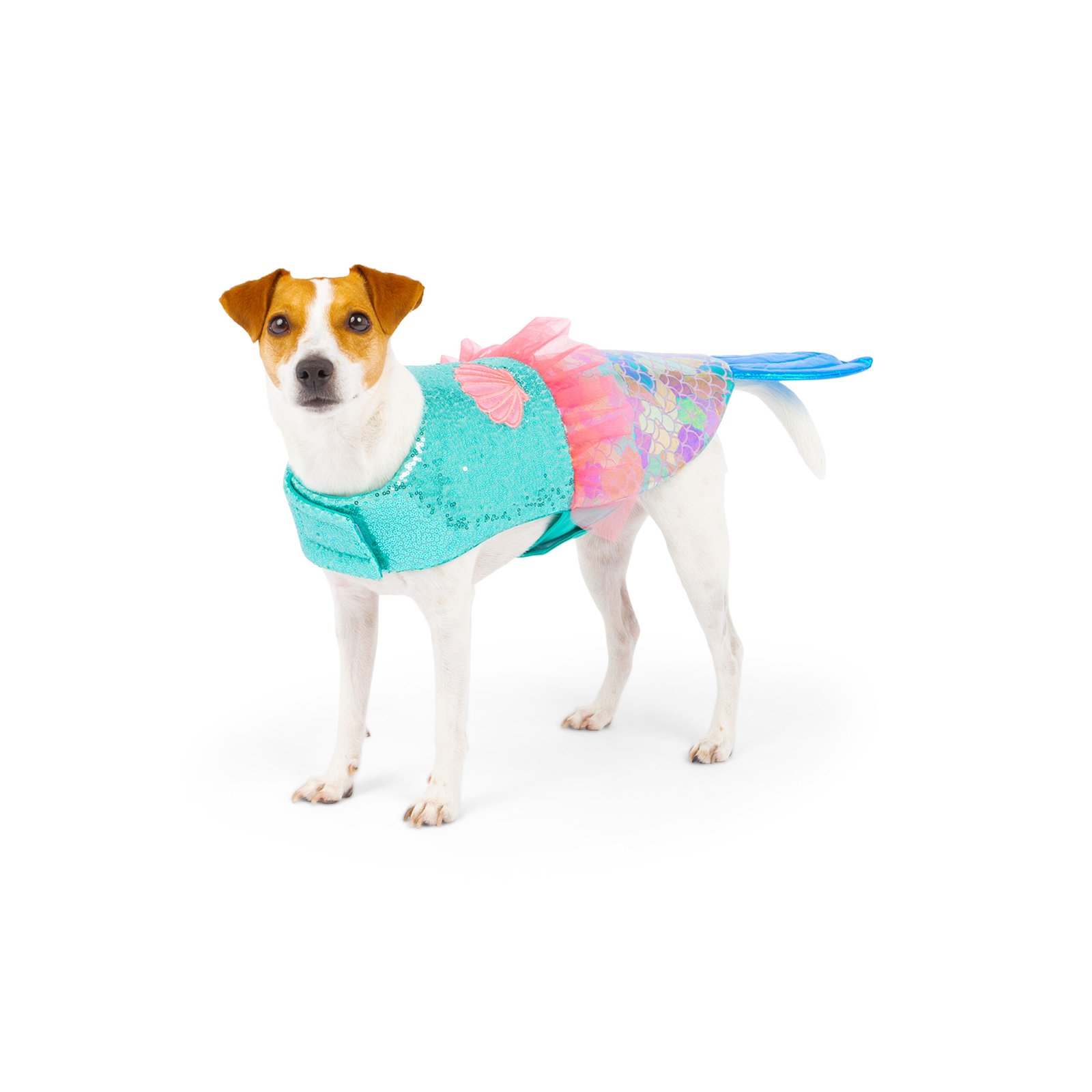 Mermaid Dog Costume, Halloween