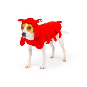 Lobster Dog Costume, Halloween