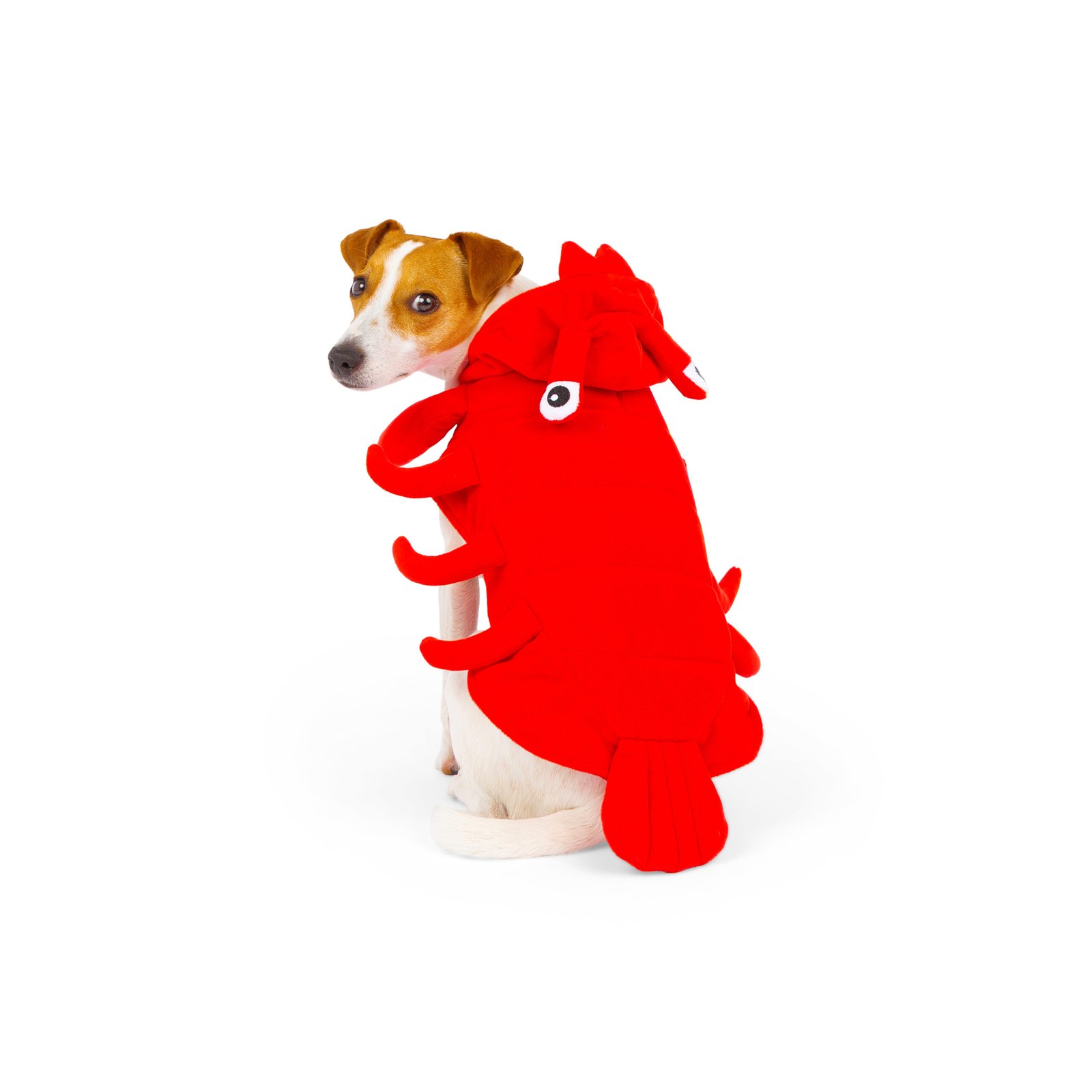 Lobster Dog Costume, Halloween - Image 2