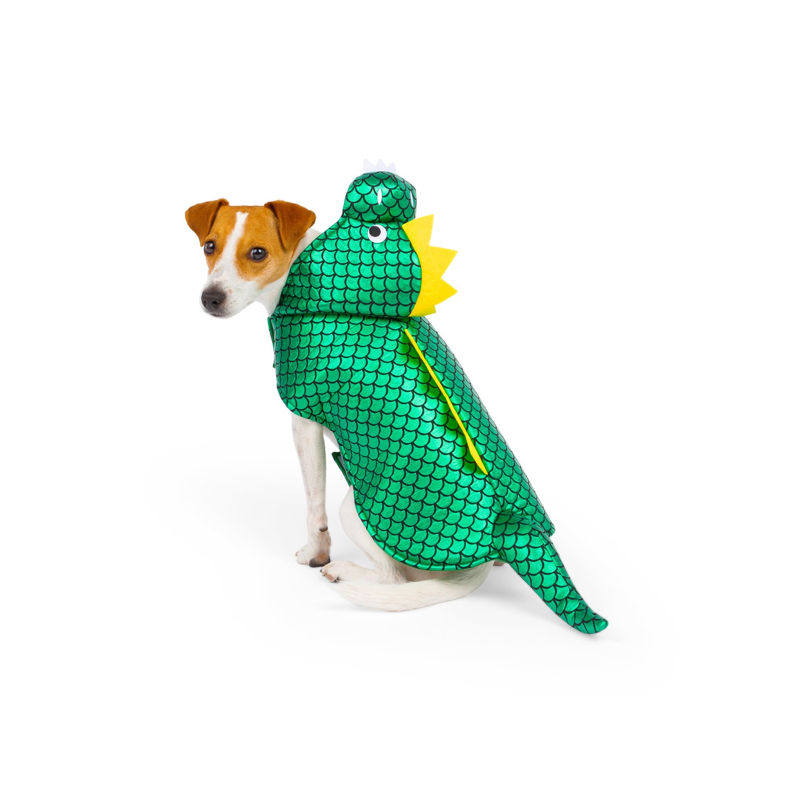 Dinosaur Dog Costume, Halloween - Image 2