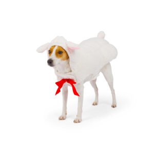 Lamb Dog Costume, Halloween