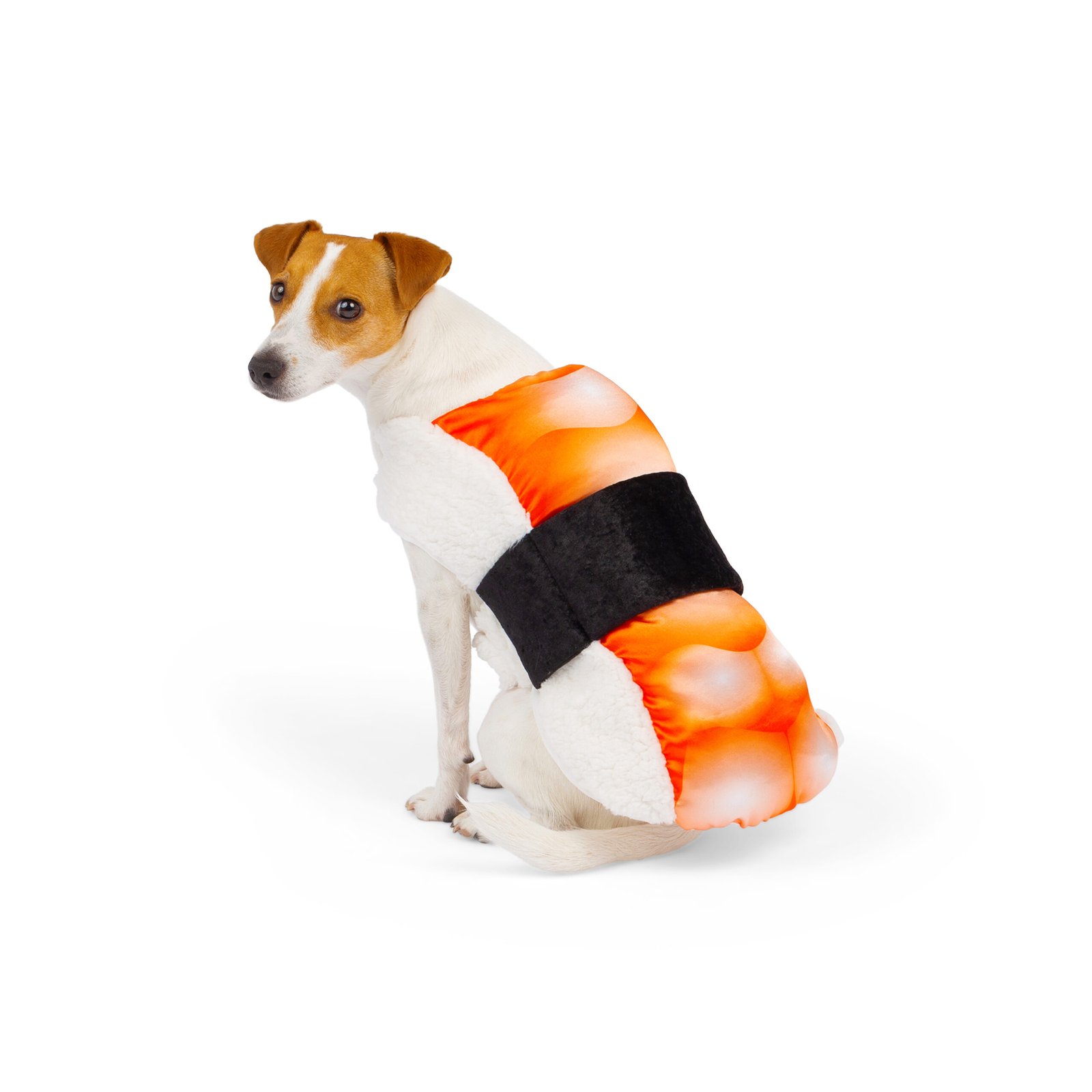 Sushi Dog Costume, Halloween - Image 2