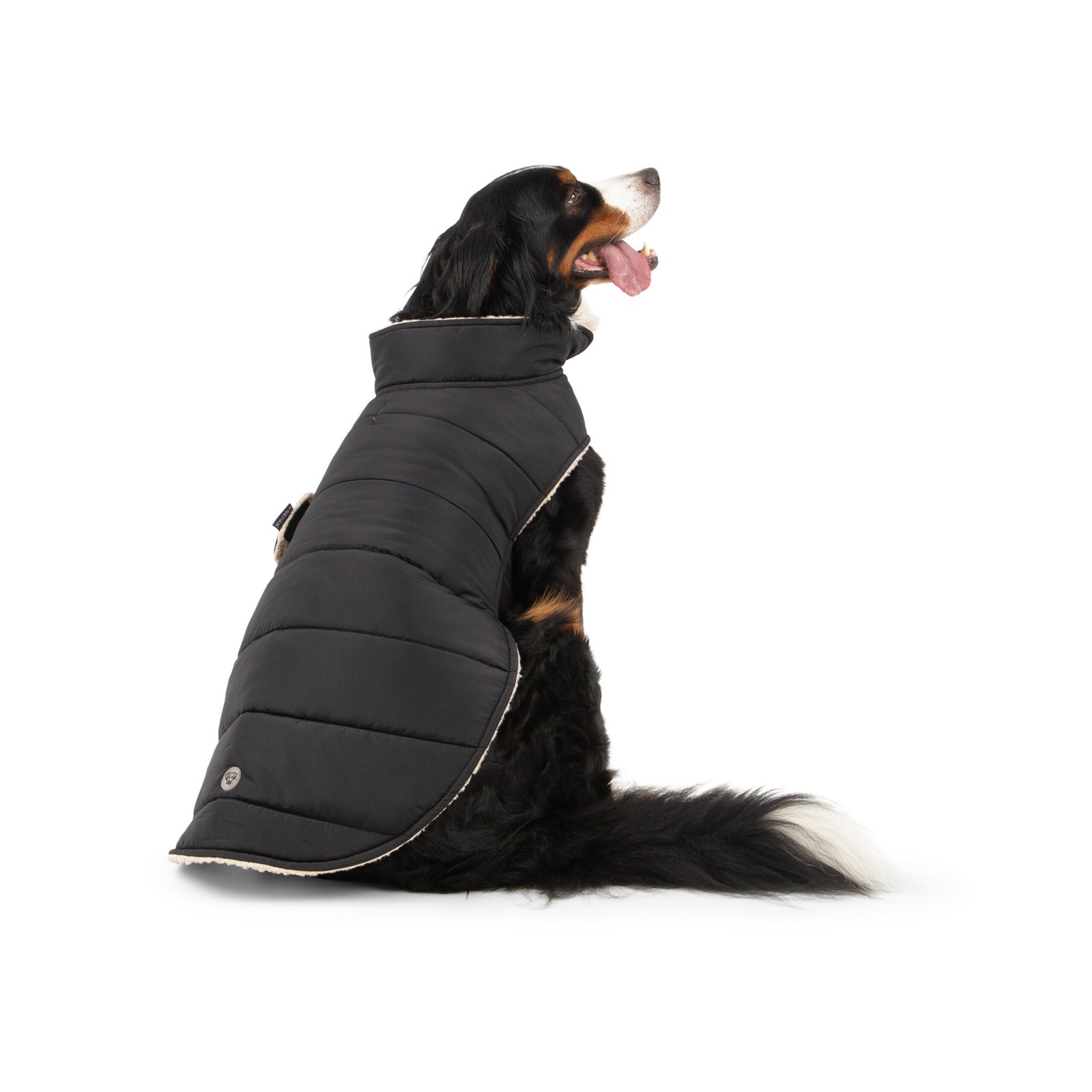 Quilted Dog Jacket, Reversible Design, 2 Colors - Image 6
