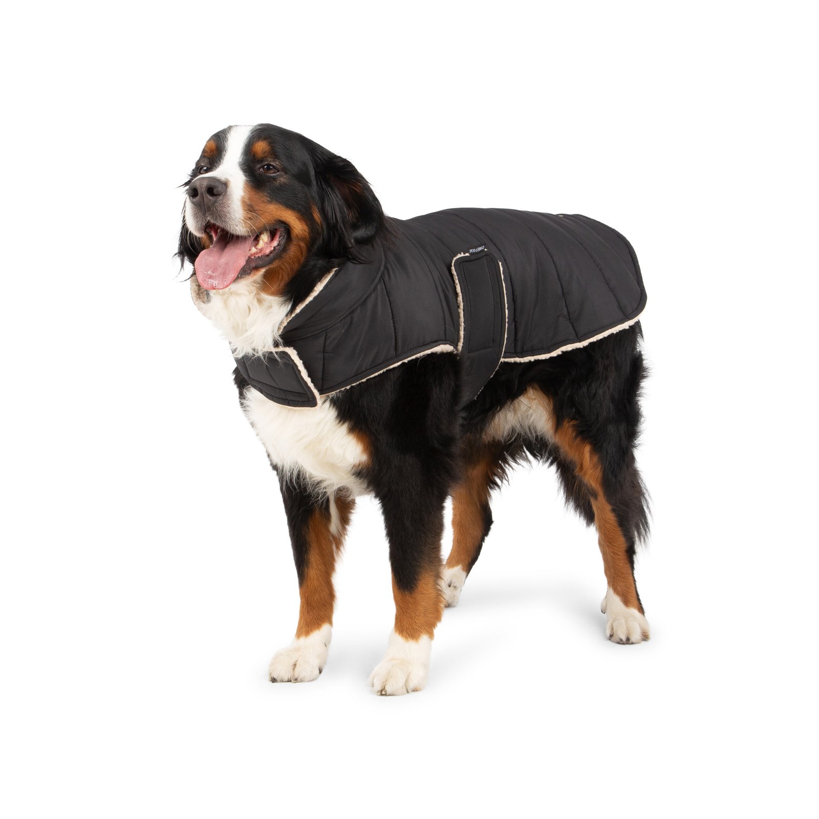 Quilted Dog Jacket, Reversible Design, 2 Colors - Image 10